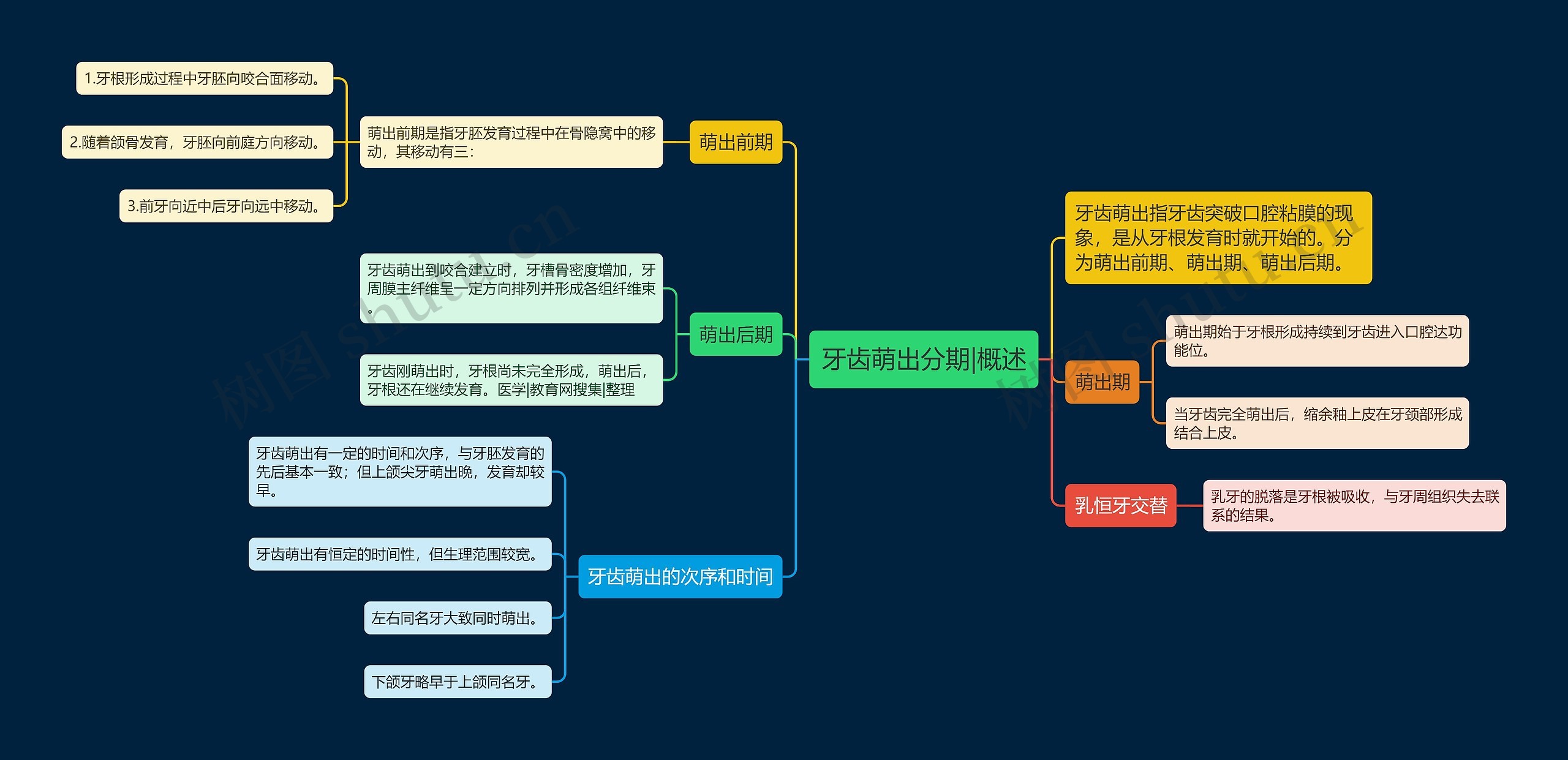 牙齿萌出分期|概述思维导图