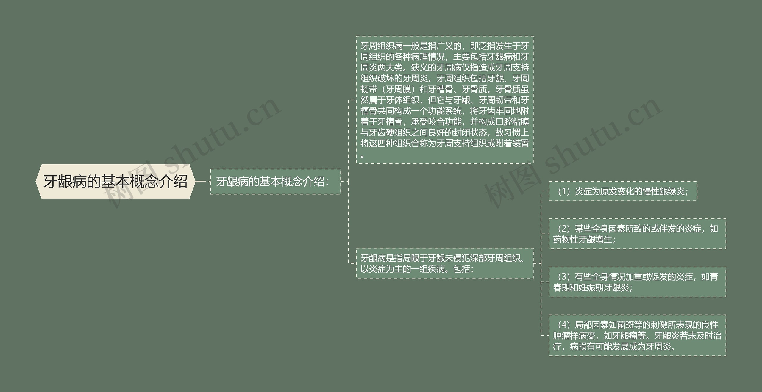 牙龈病的基本概念介绍