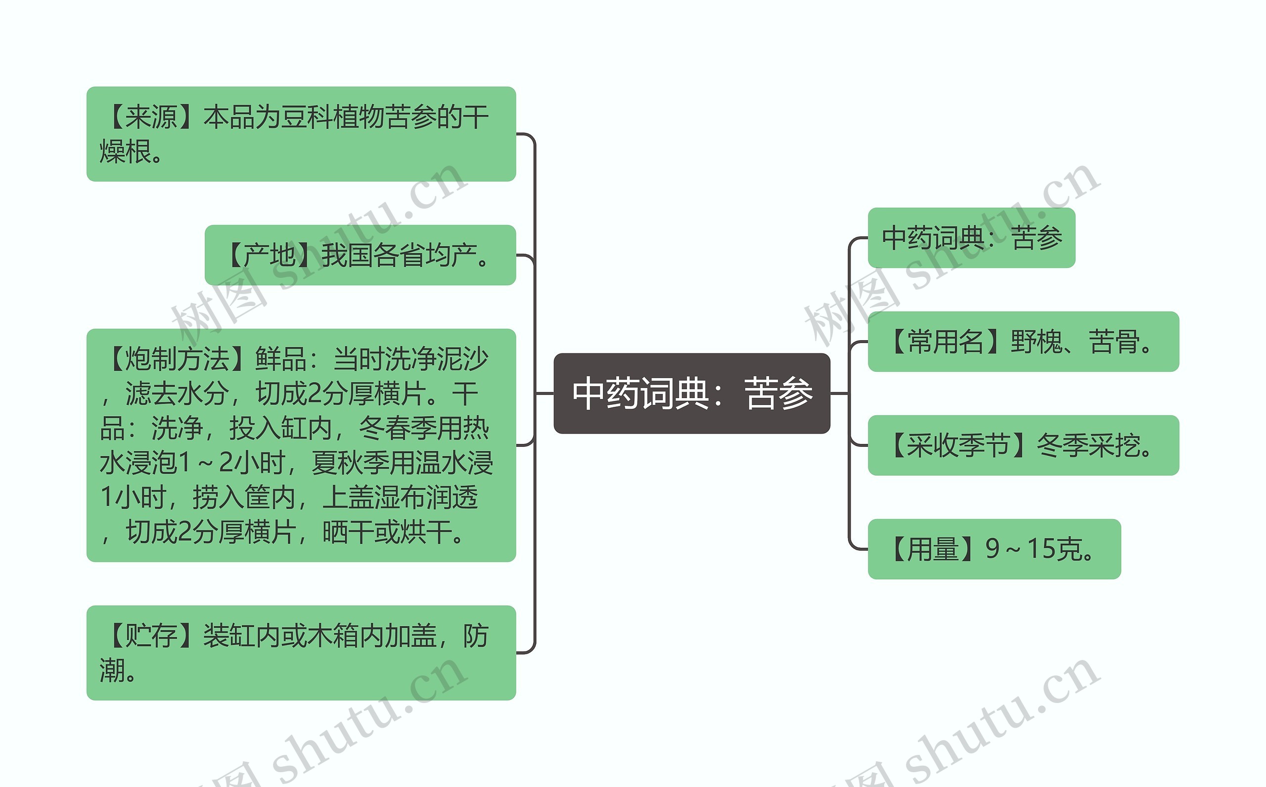 中药词典：苦参思维导图