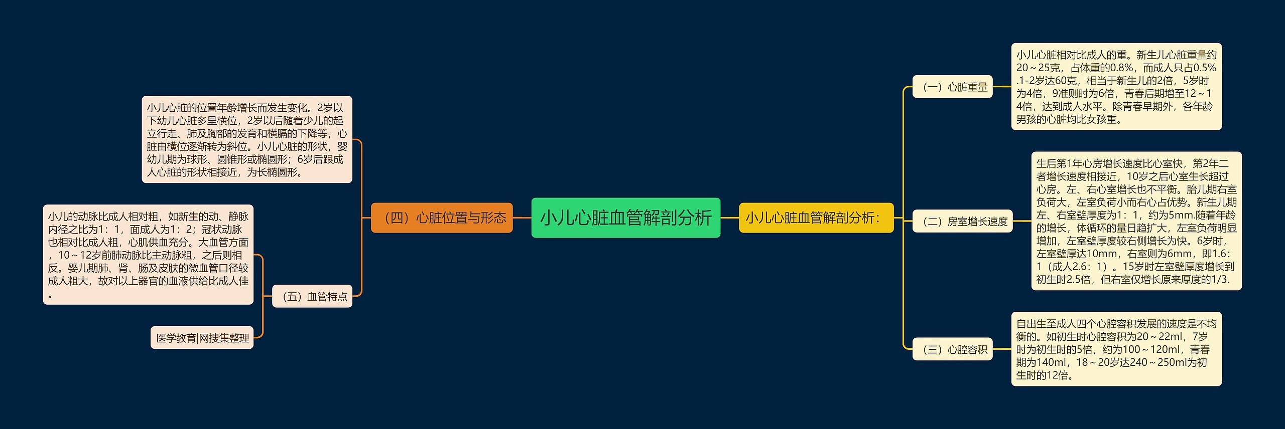 小儿心脏血管解剖分析 小儿心脏血管解剖分析