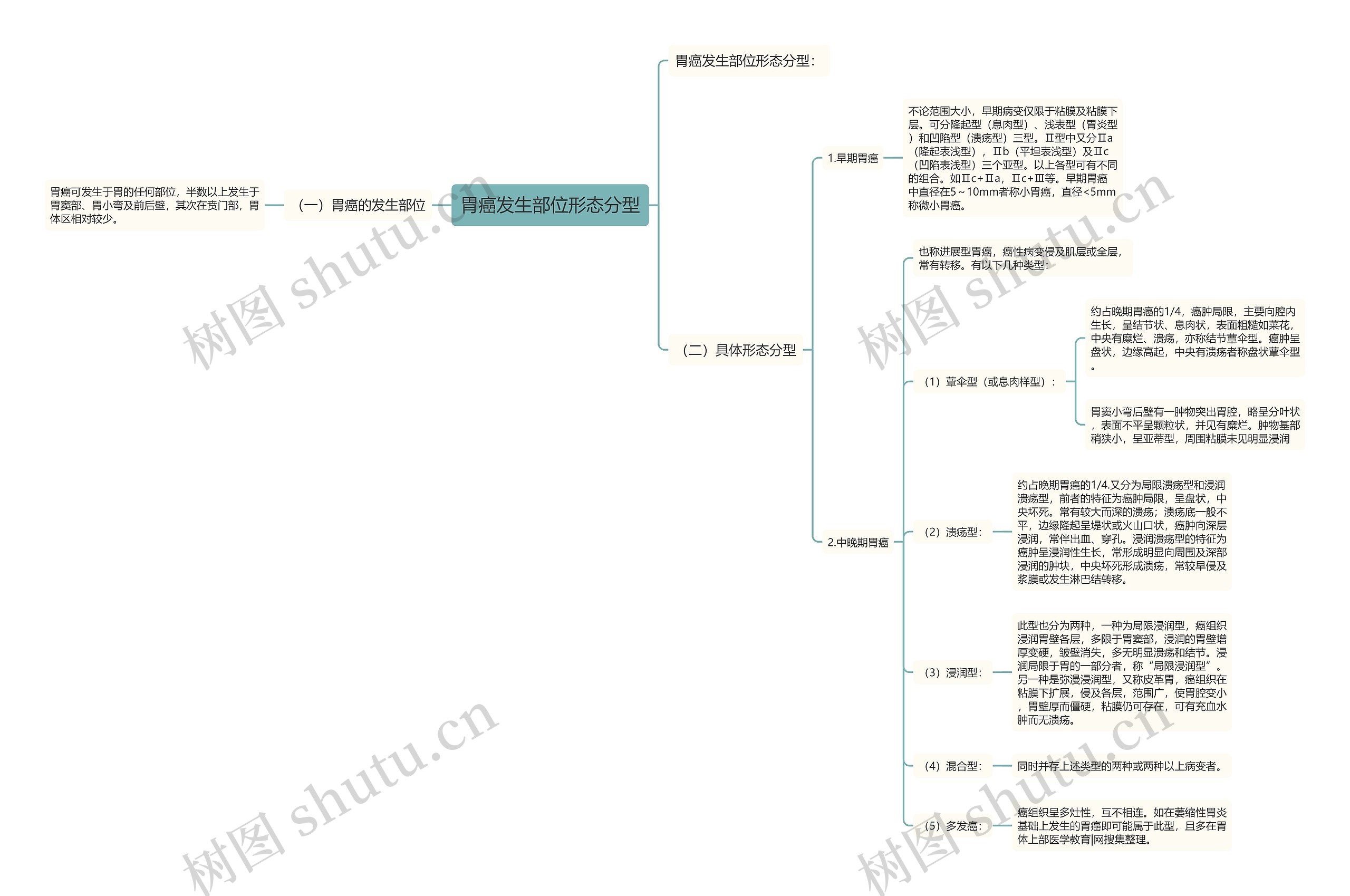 胃癌发生部位形态分型 胃癌发生部位形态分型
