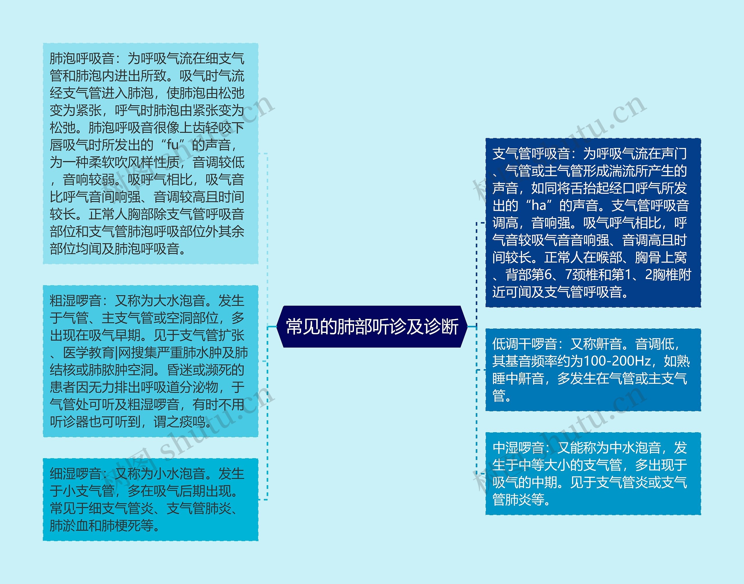 常见的肺部听诊及诊断