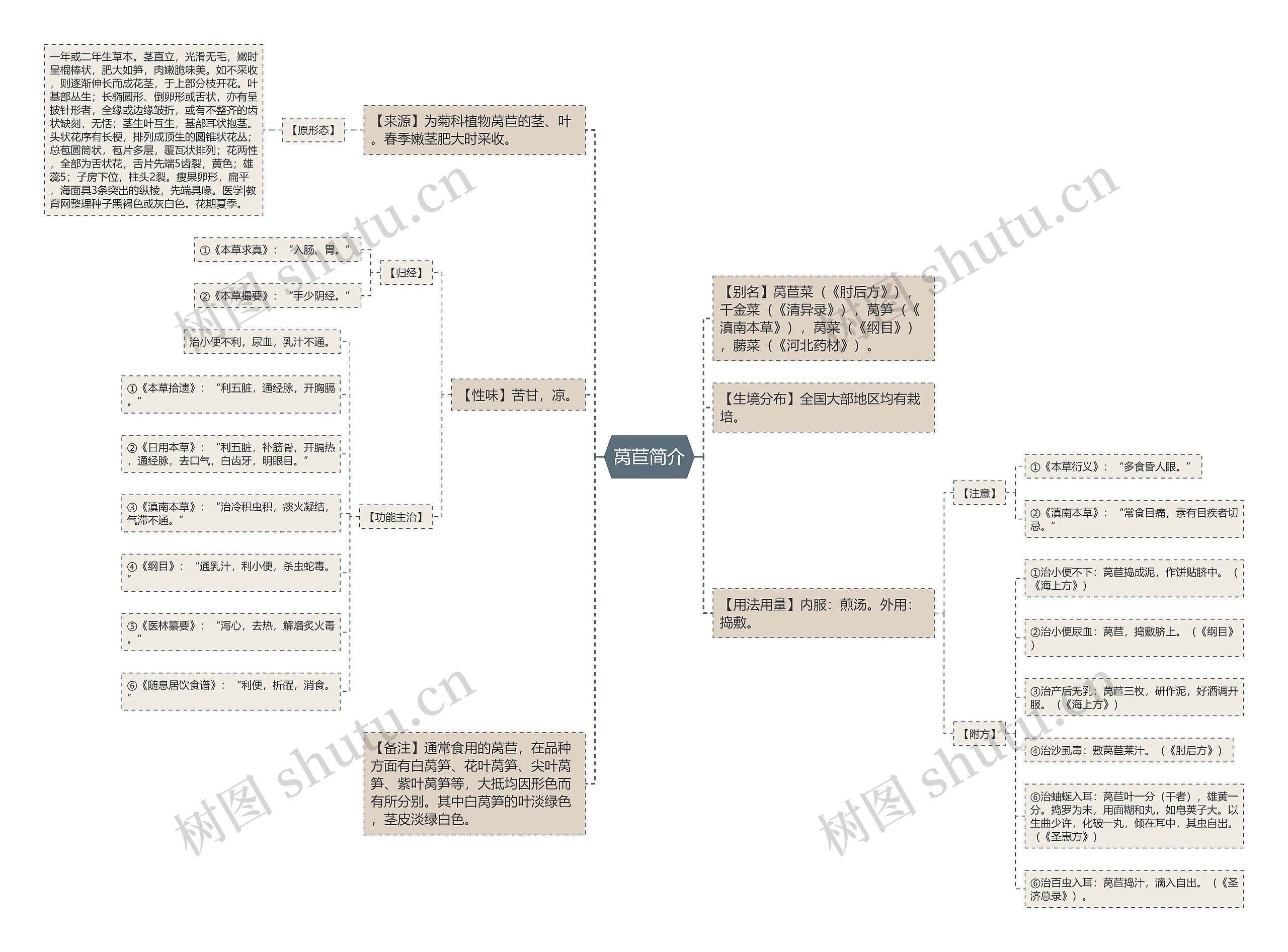 莴苣简介 莴苣简介