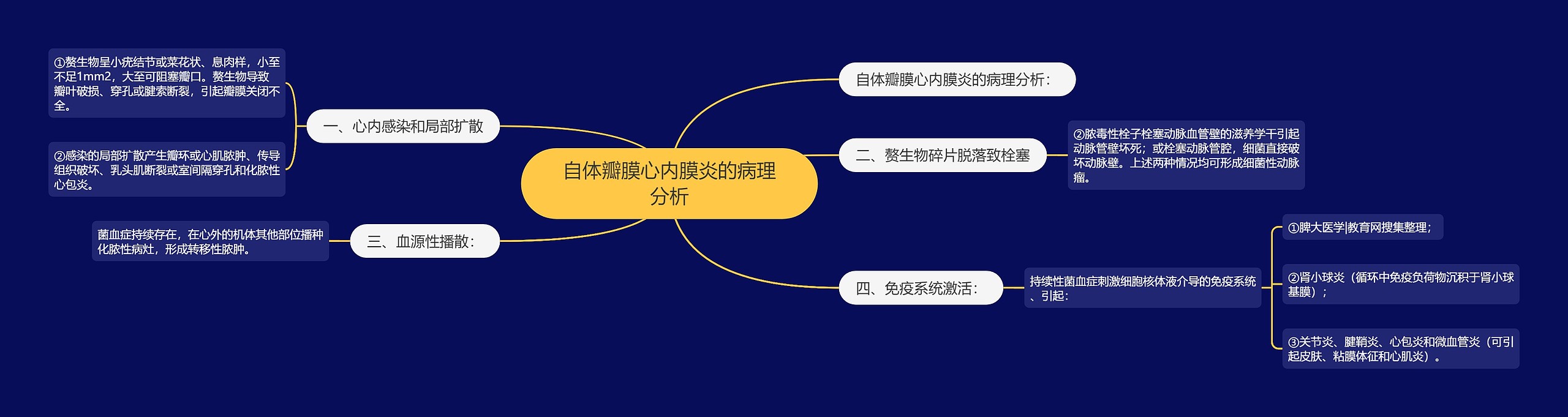 自体瓣膜心内膜炎的病理分析 自体瓣膜心内膜炎的病理分析