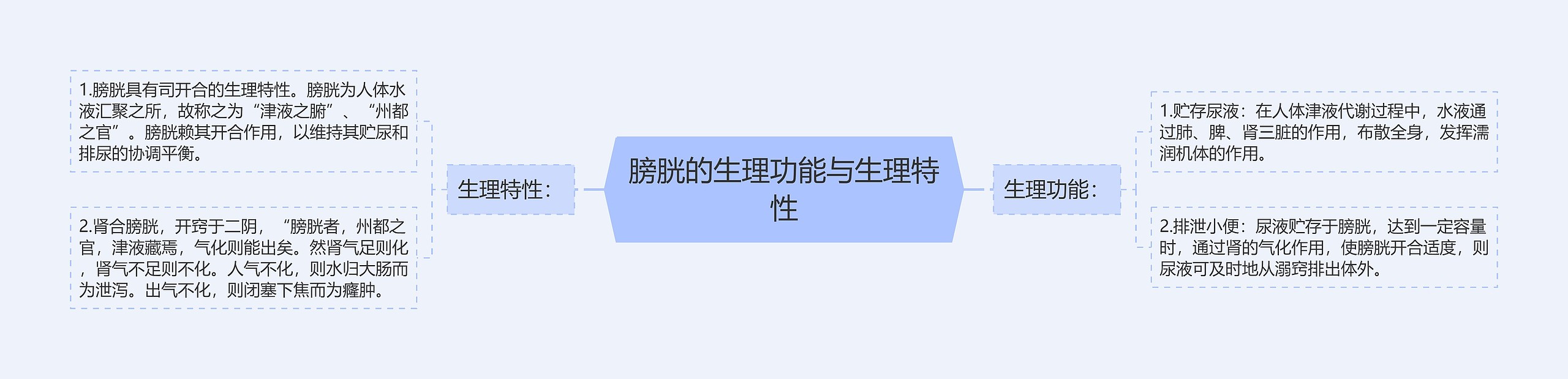 膀胱的生理功能与生理特性