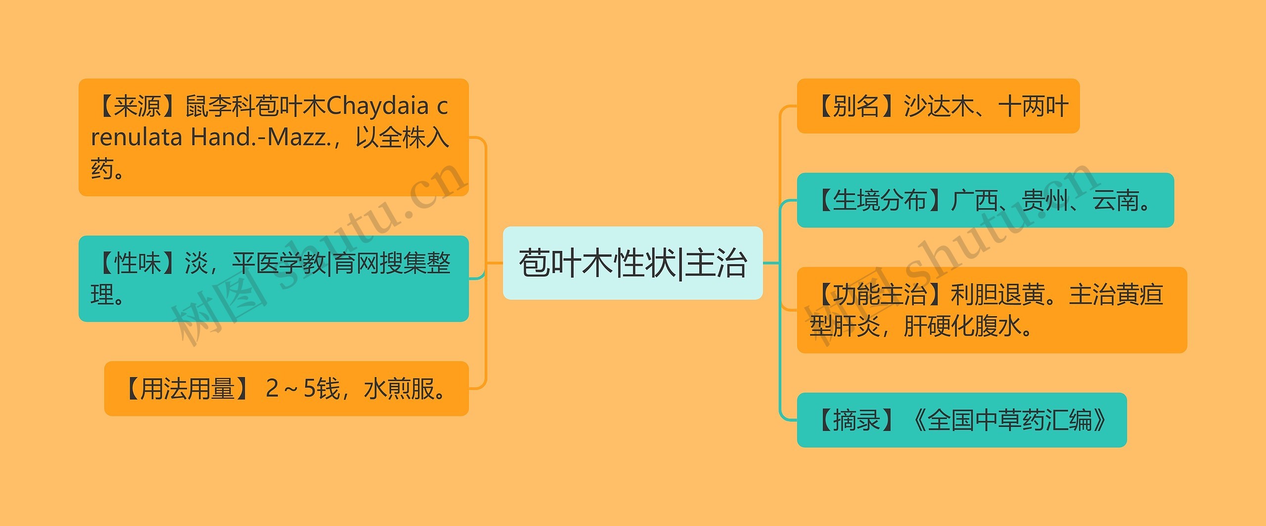 苞叶木性状|主治