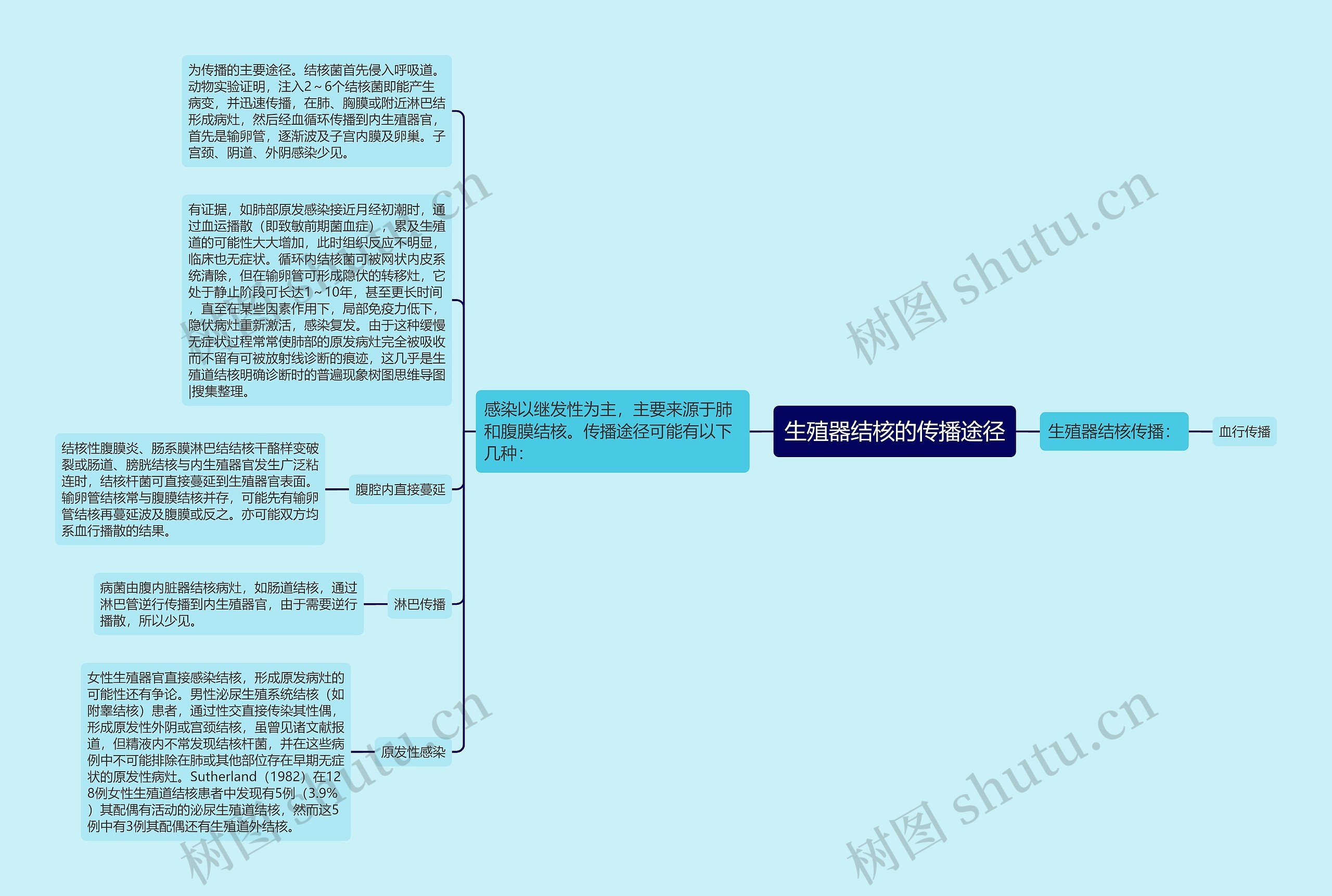 生殖器结核的传播途径