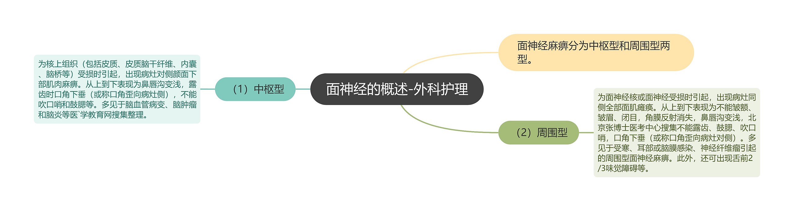 面神经的概述-外科护理 面神经的概述-外科护理