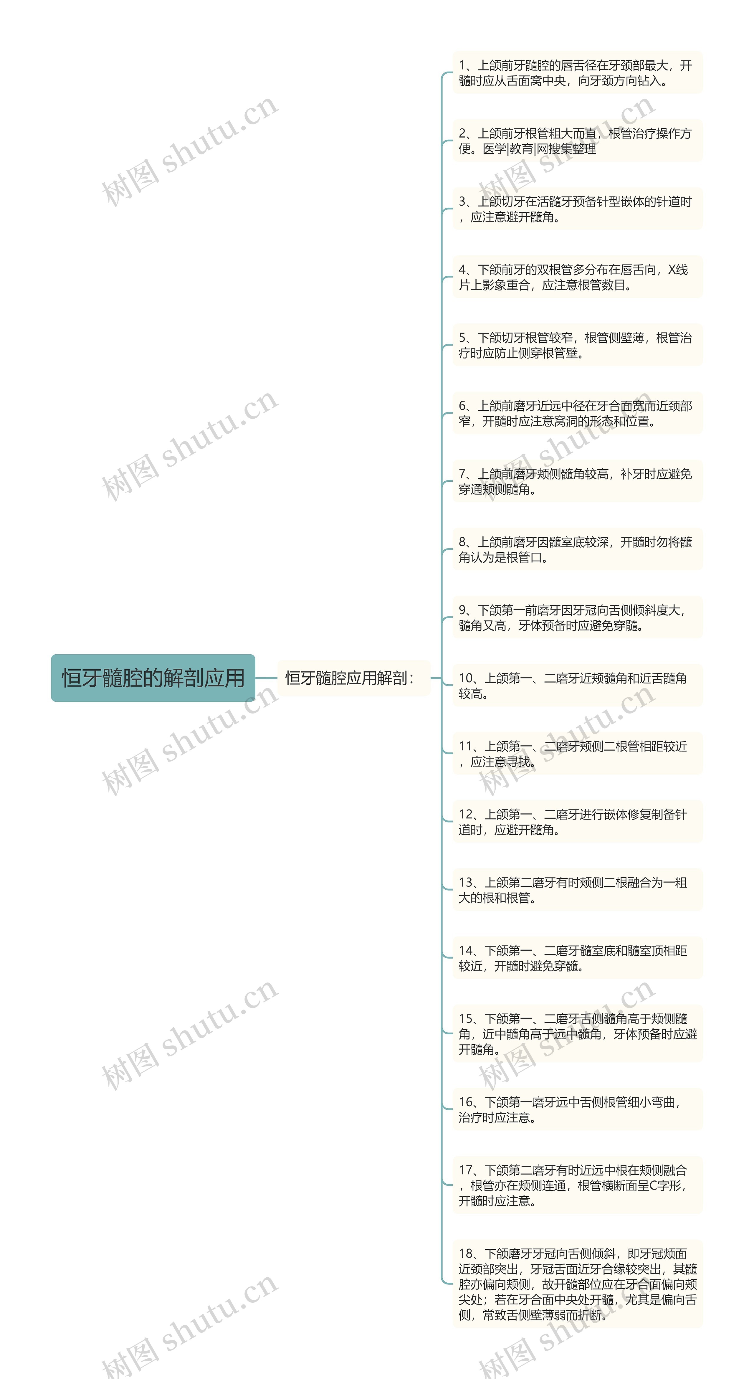 恒牙髓腔的解剖应用