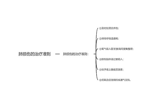 肺损伤的治疗准则