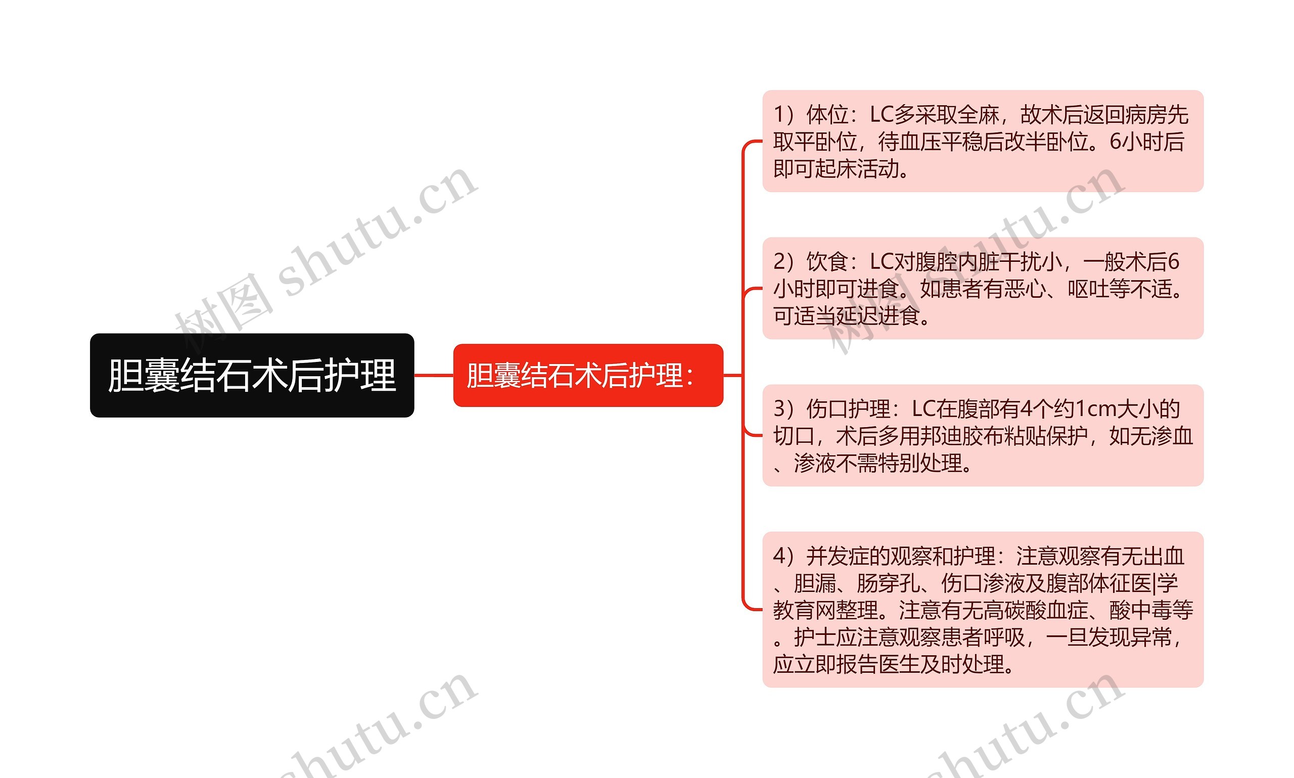 胆囊结石术后护理思维导图