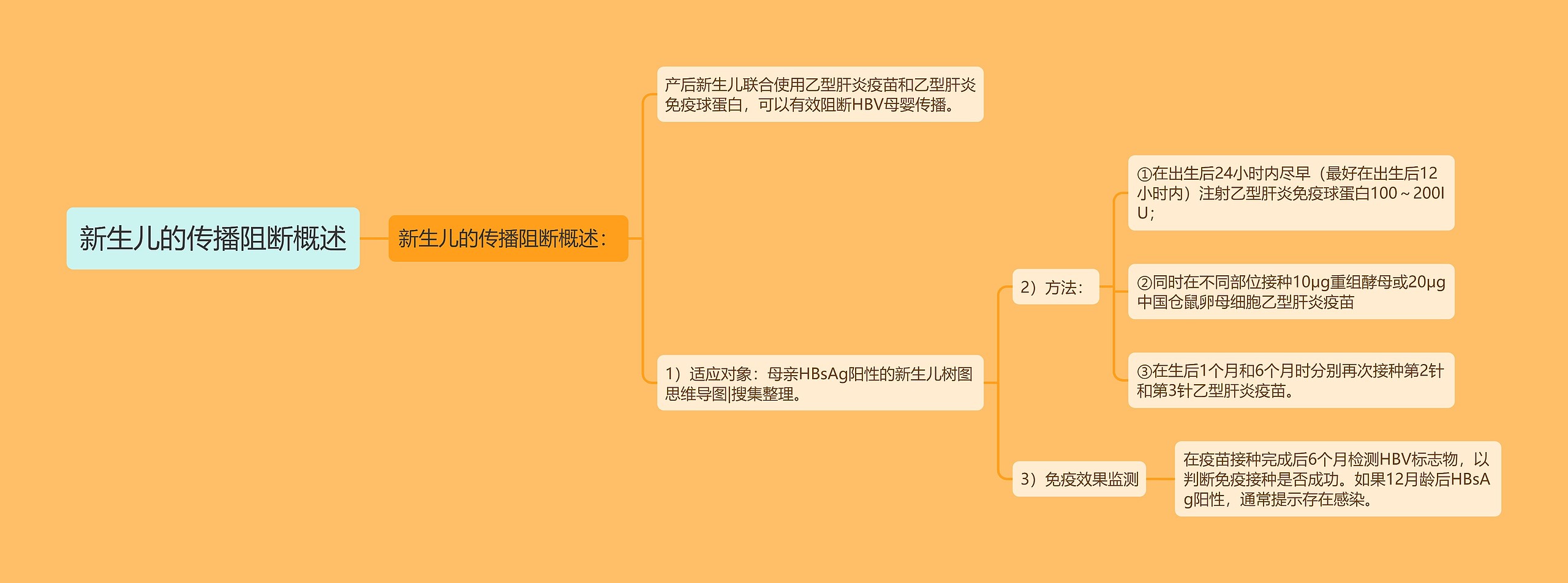 新生儿的传播阻断概述思维导图