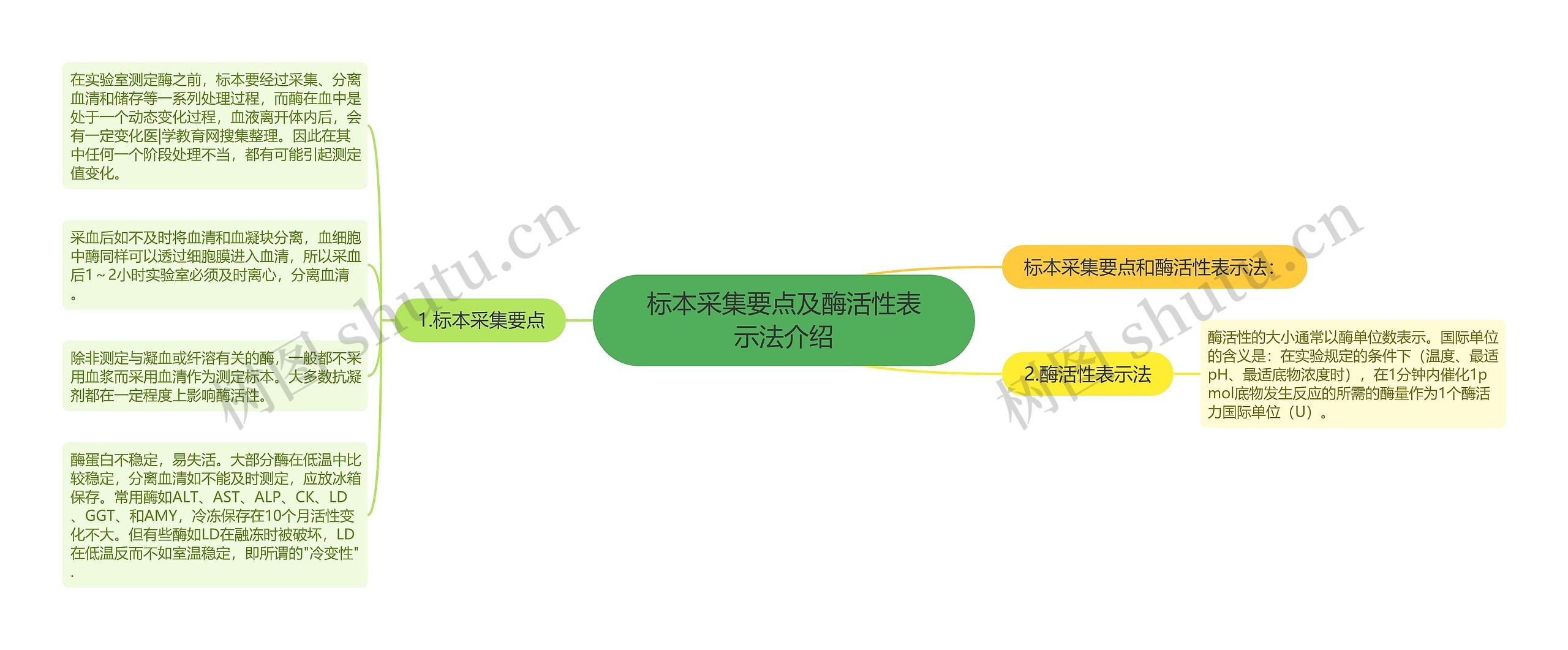 标本采集要点及酶活性表示法介绍思维导图