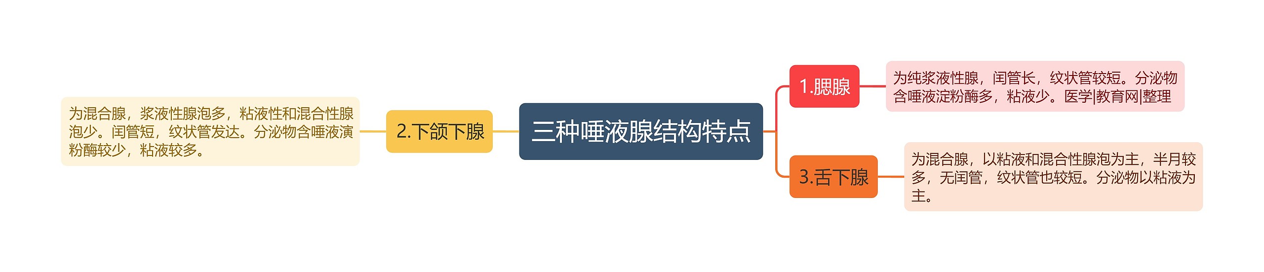 三种唾液腺结构特点 三种唾液腺结构特点