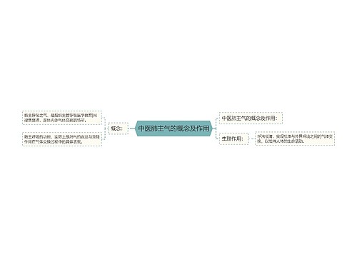 中医肺主气的概念及作用