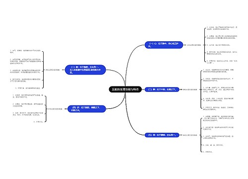 五脏的生理功能与特点