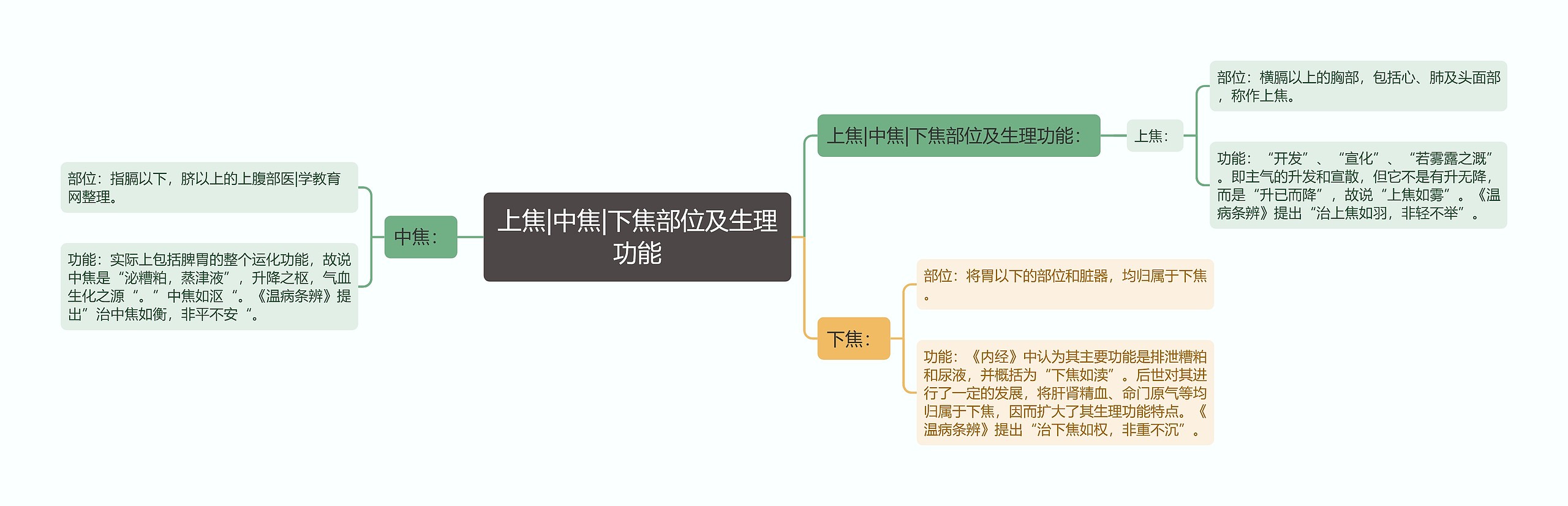 上焦|中焦|下焦部位及生理功能