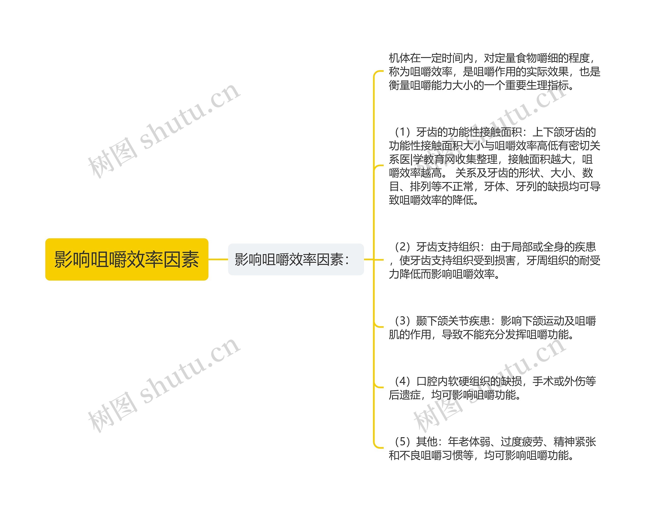 影响咀嚼效率因素思维导图