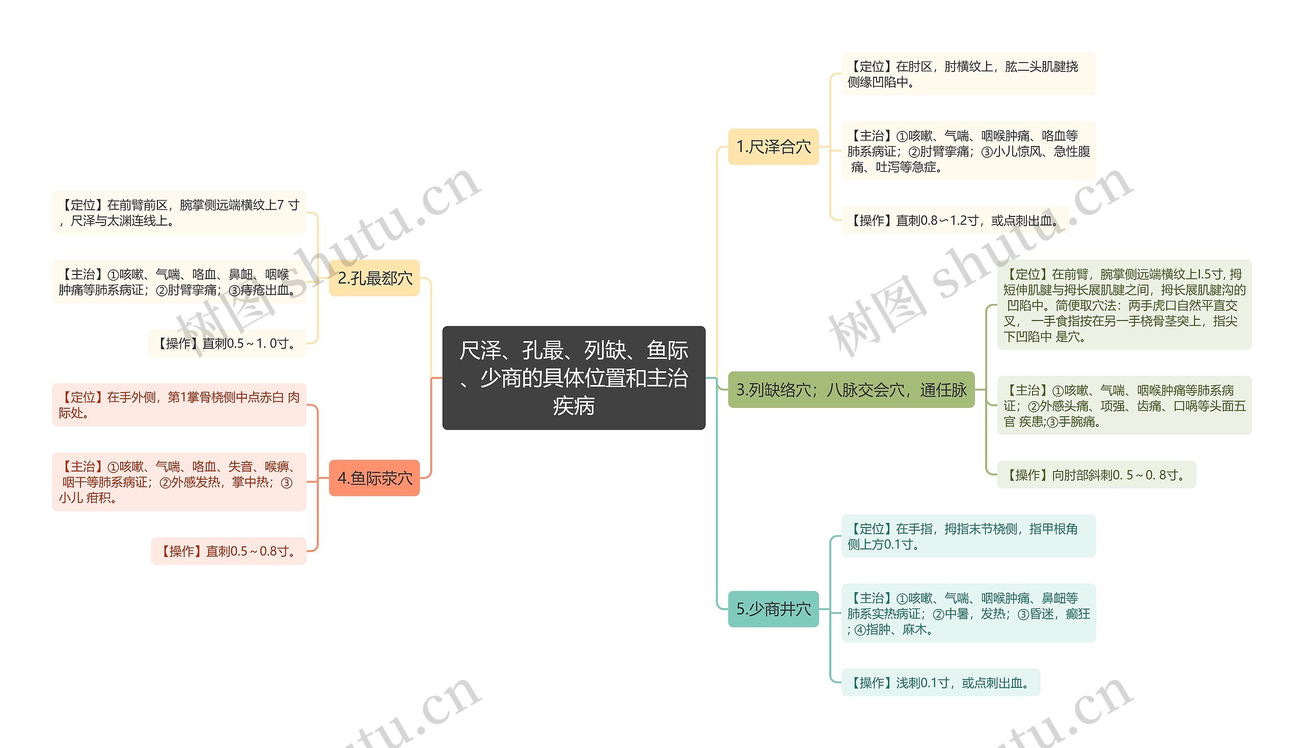 尺泽、孔最、列缺、鱼际、少商的具体位置和主治疾病