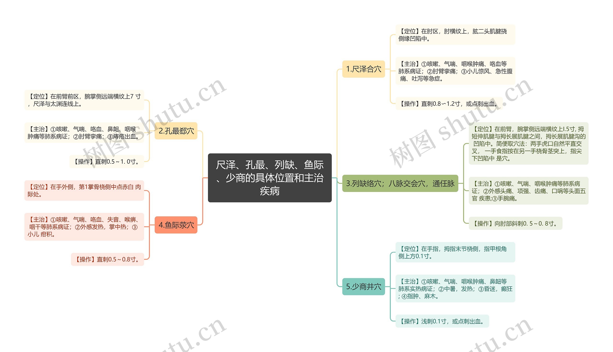 尺泽、孔最、列缺、鱼际、少商的具体位置和主治疾病思维导图