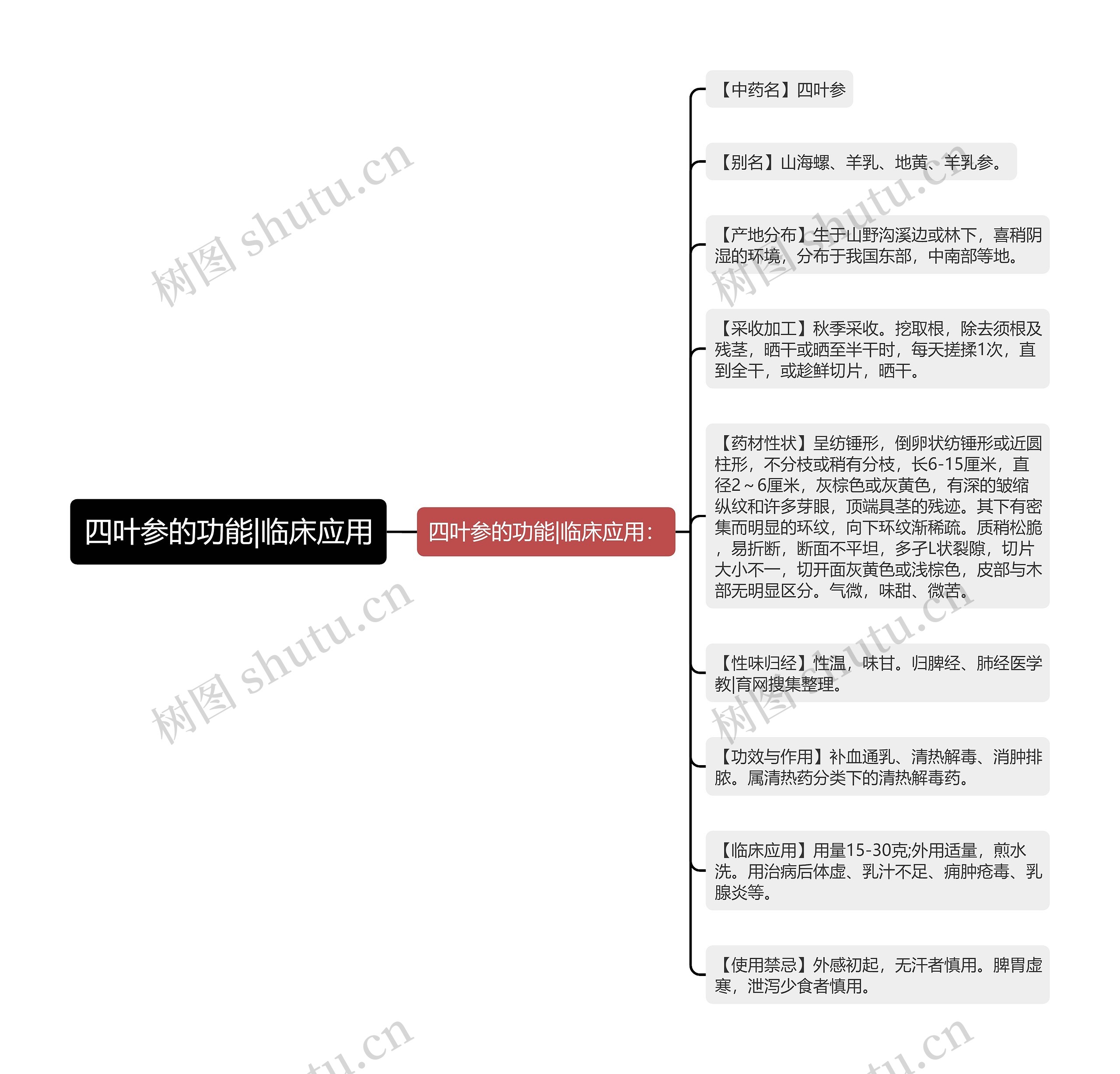 四叶参的功能|临床应用