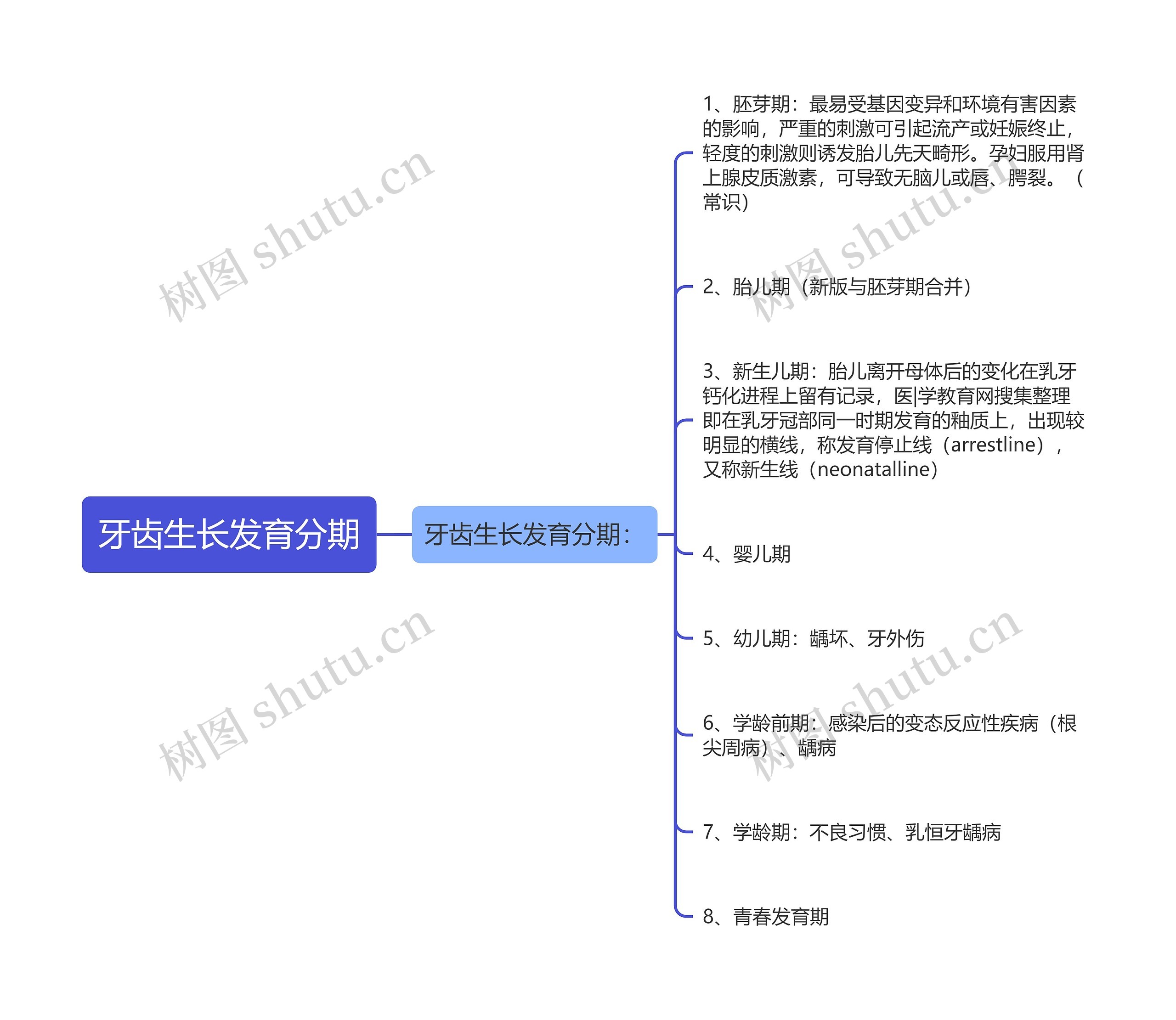 牙齿生长发育分期思维导图