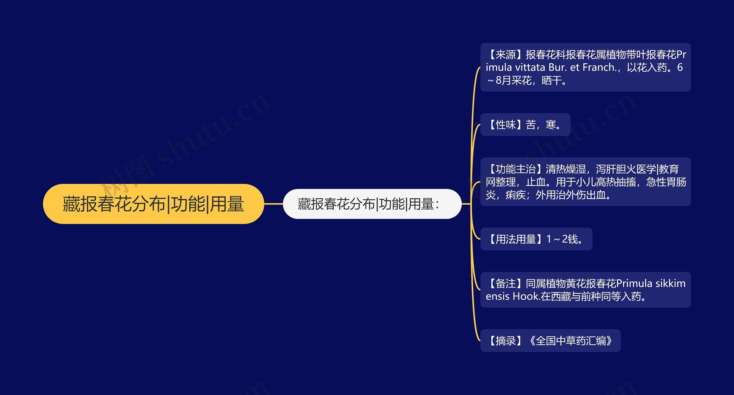 藏报春花分布|功能|用量思维导图