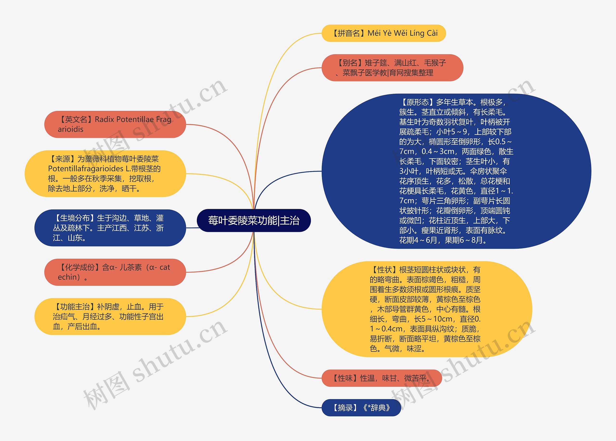 莓叶委陵菜功能|主治思维导图