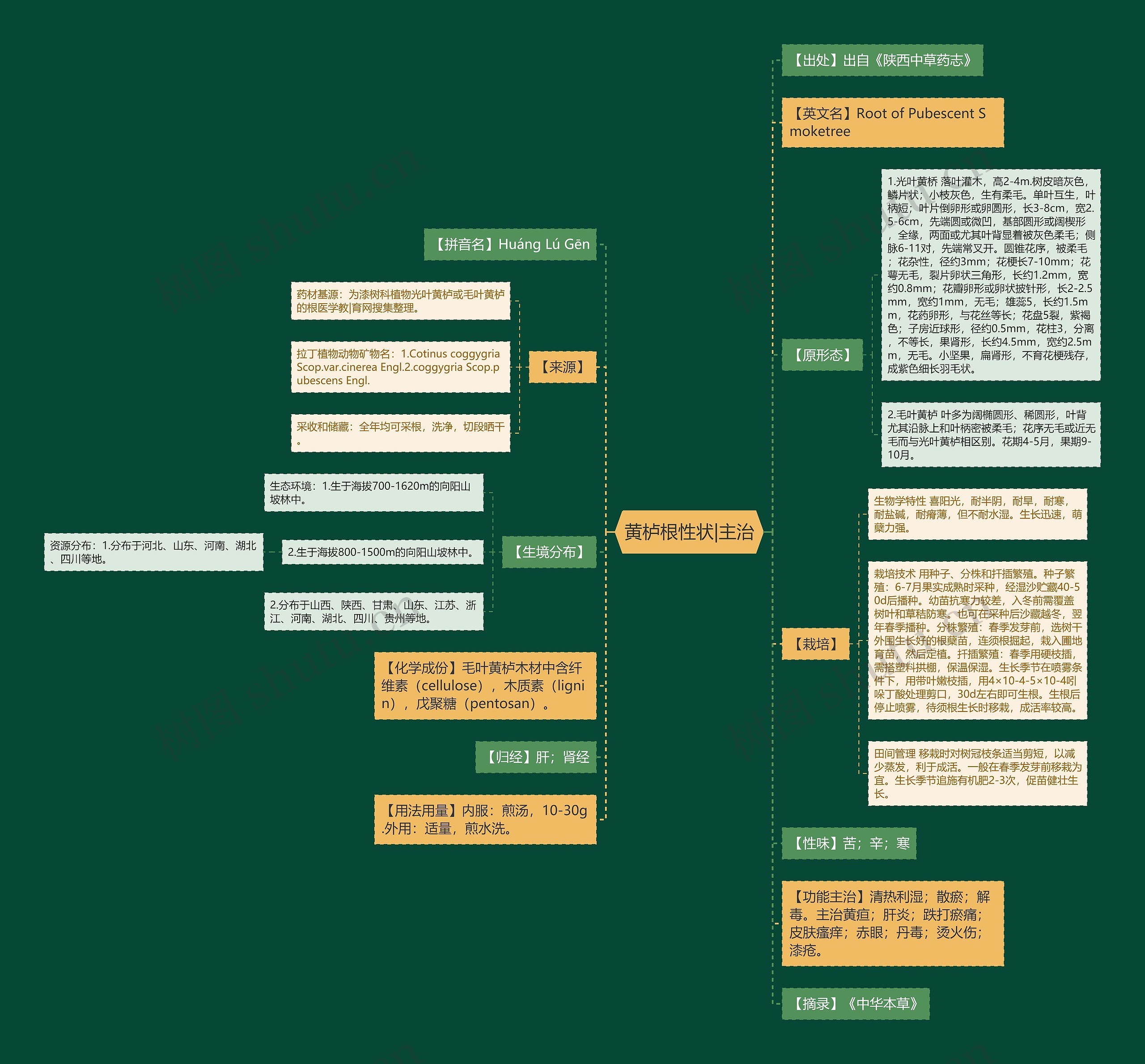 黄栌根性状|主治思维导图