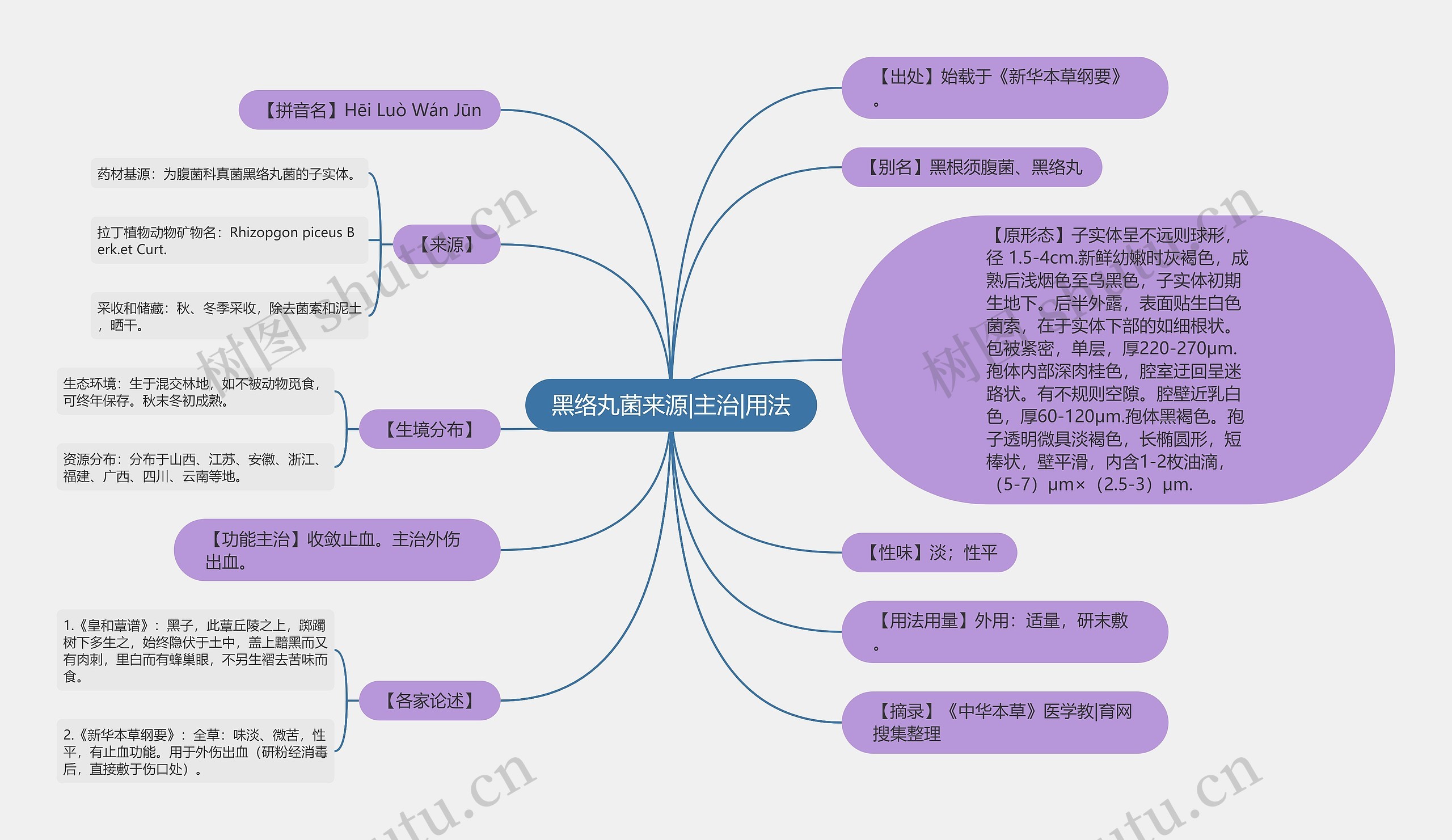 黑络丸菌来源|主治|用法思维导图