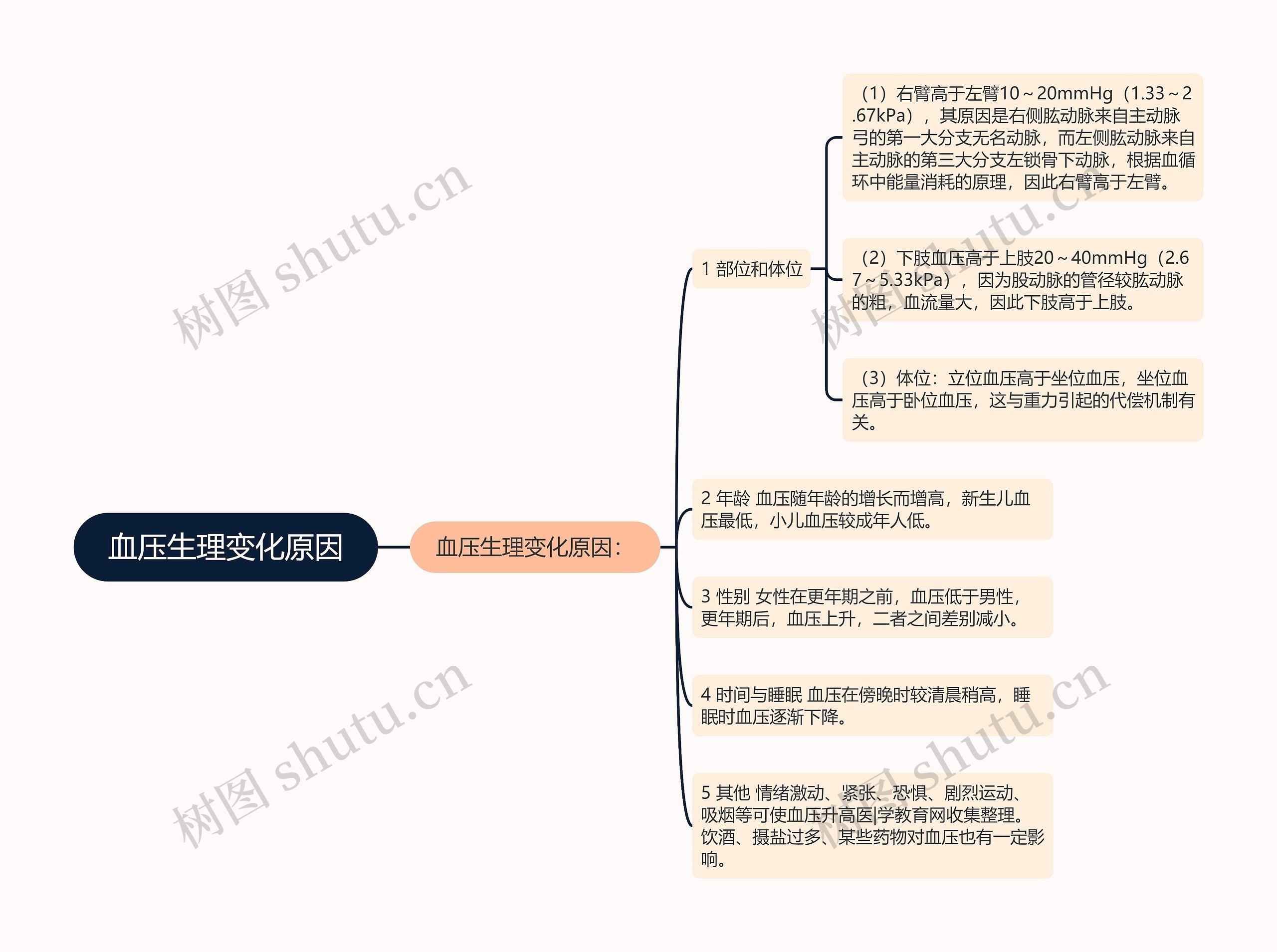 血压生理变化原因思维导图