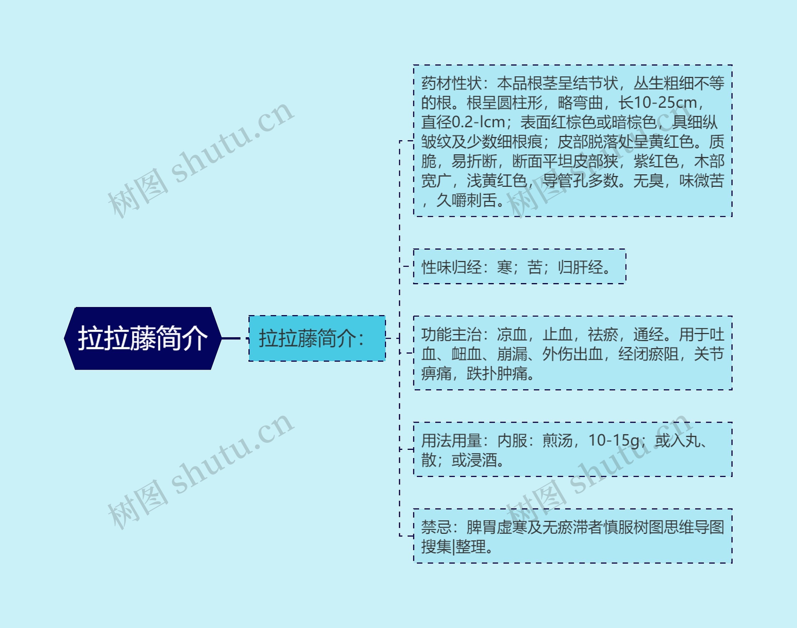 拉拉藤简介思维导图