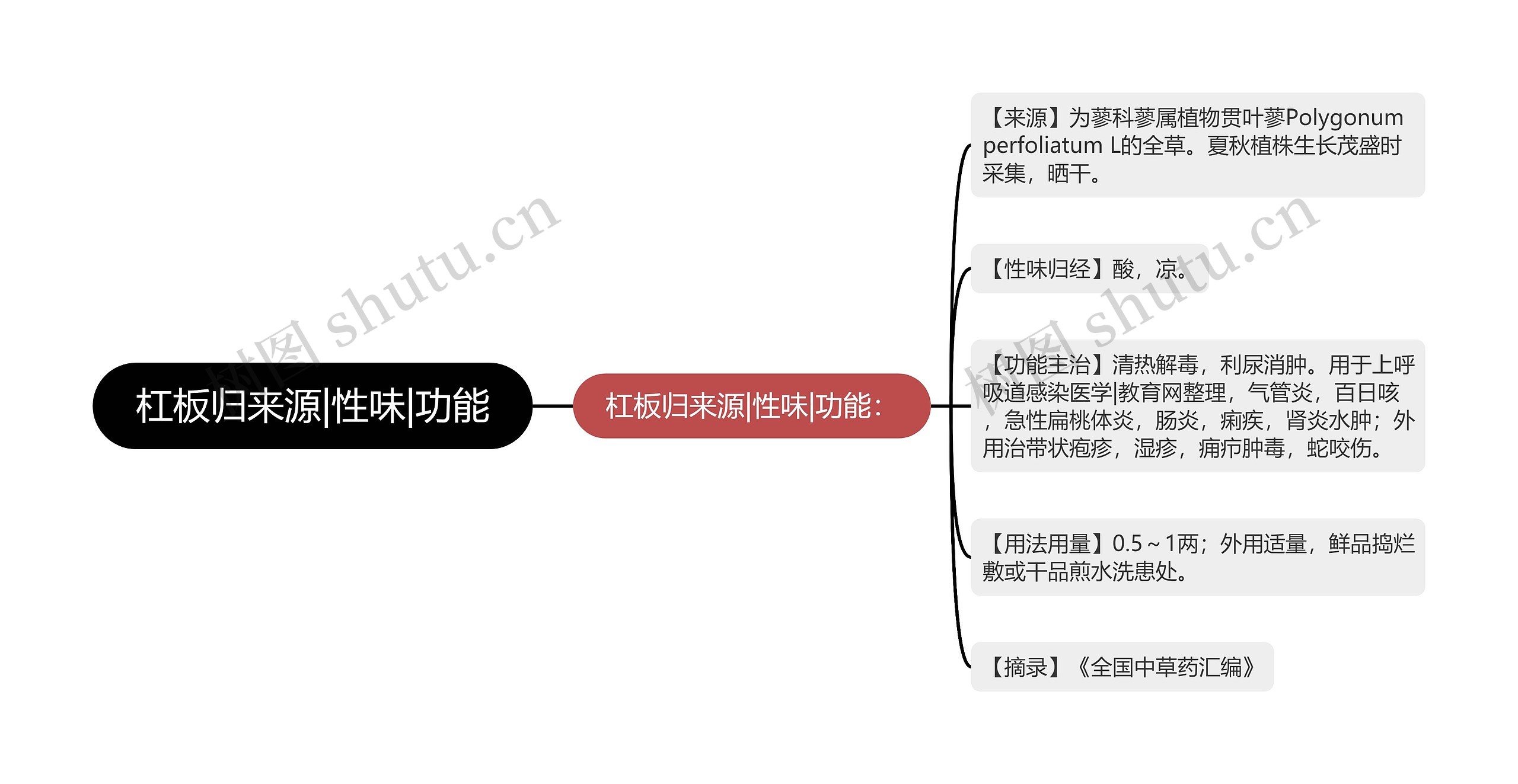 杠板归来源|性味|功能思维导图