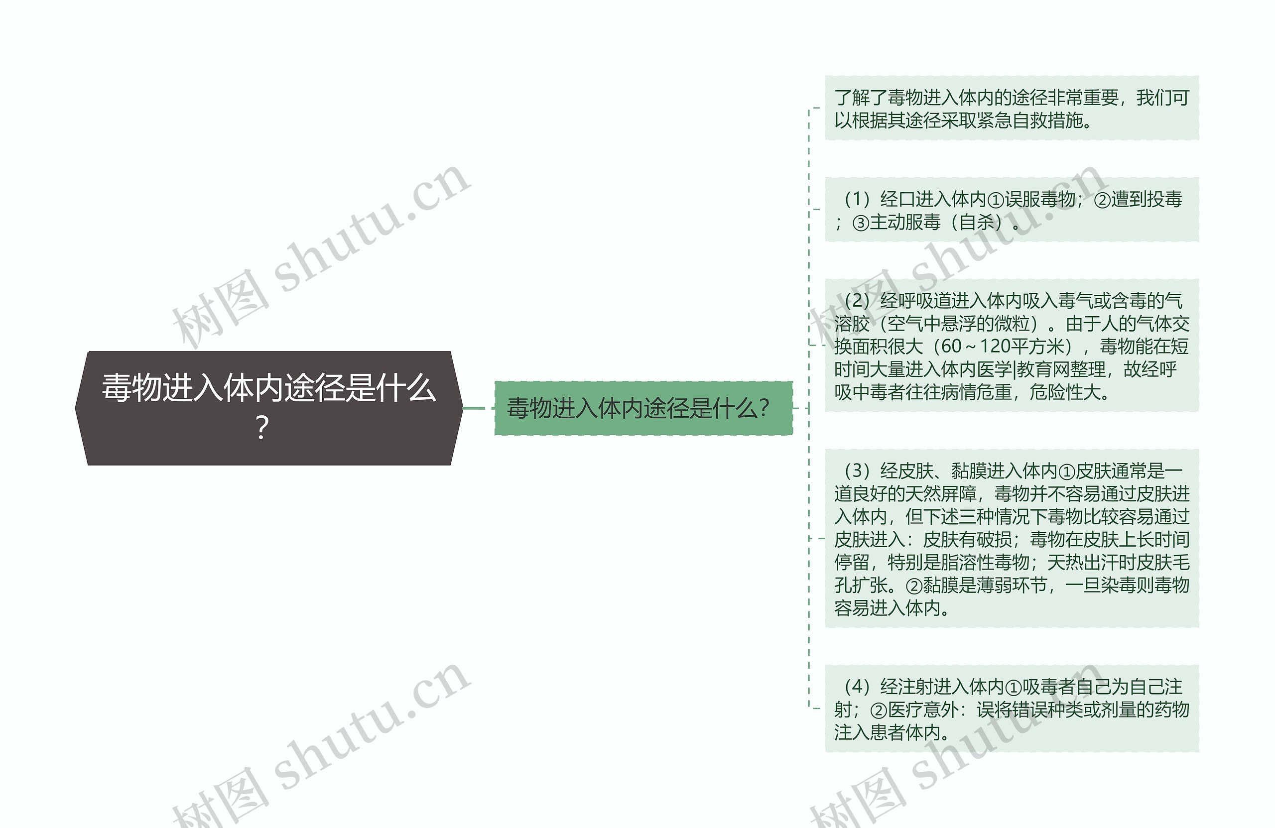 毒物进入体内途径是什么？思维导图