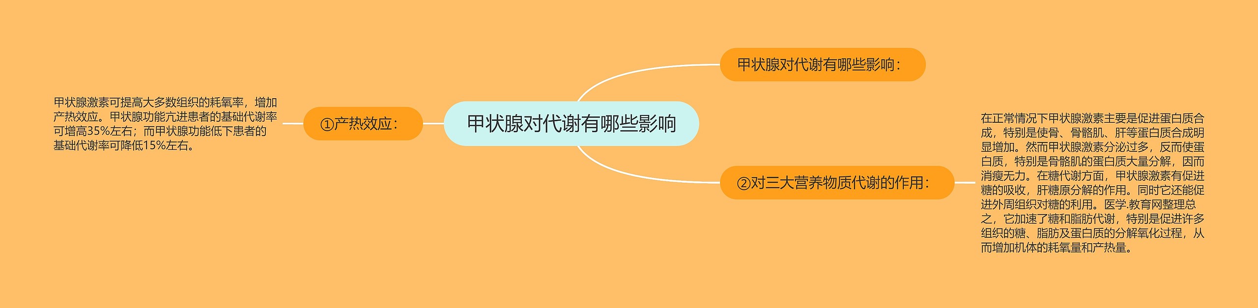 甲状腺对代谢有哪些影响