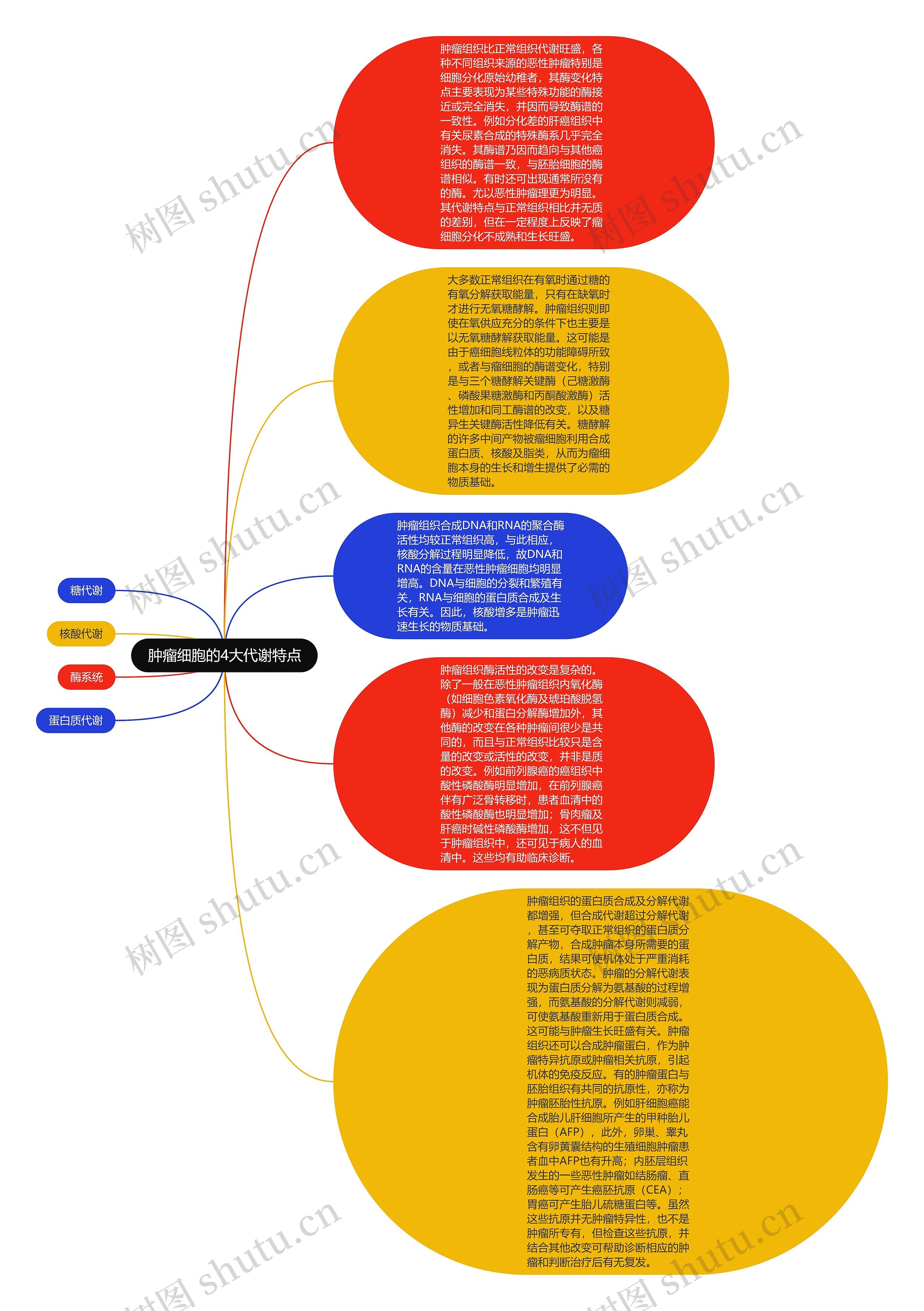 肿瘤细胞的4大代谢特点思维导图