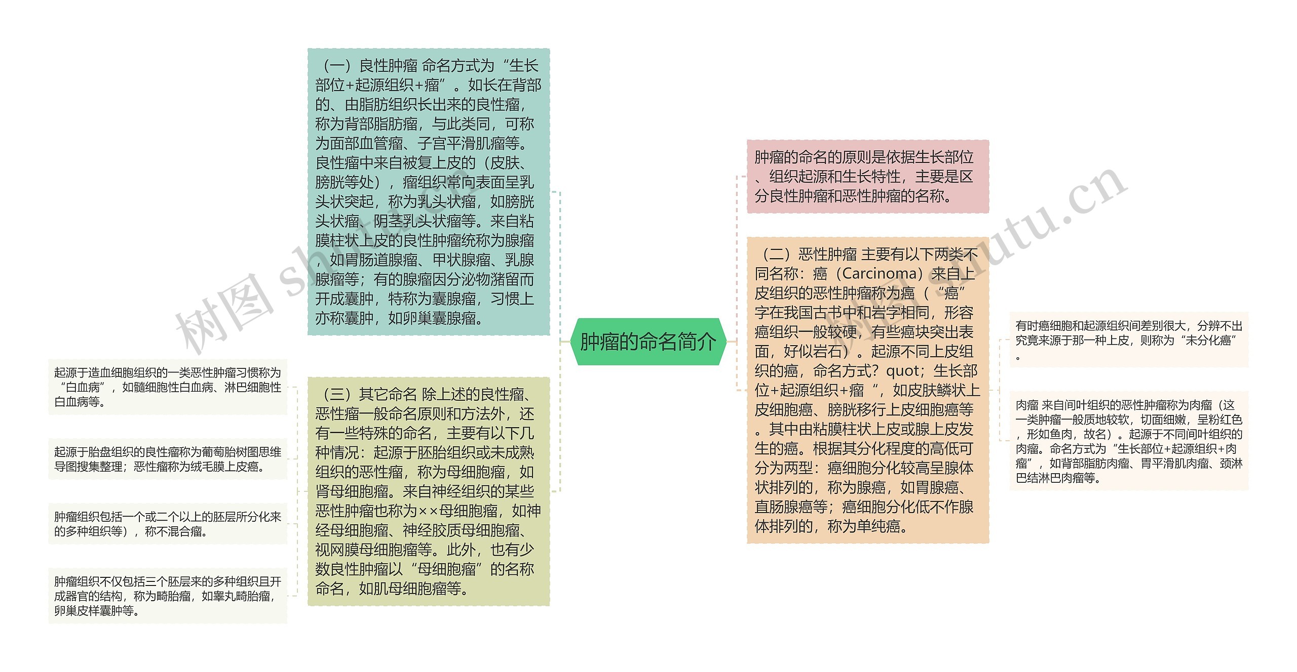 肿瘤的命名简介思维导图