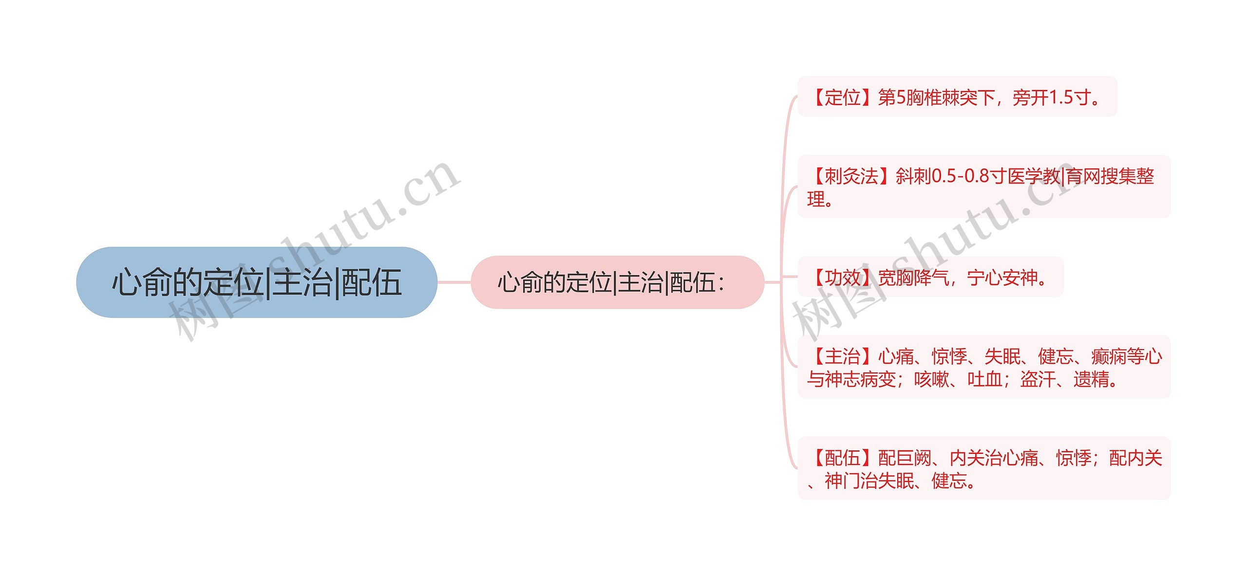 心俞的定位|主治|配伍思维导图