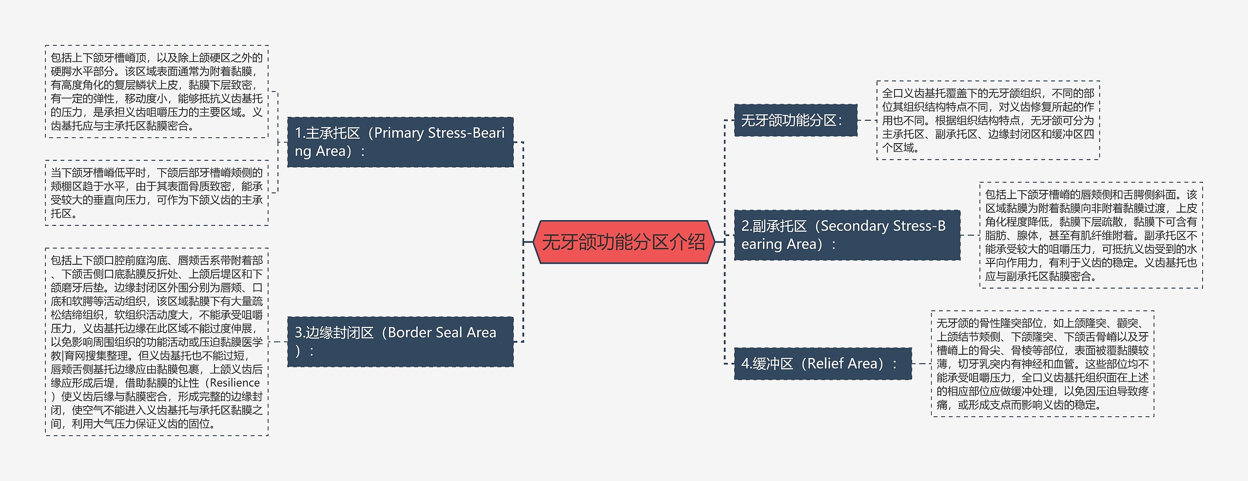 无牙颌功能分区介绍