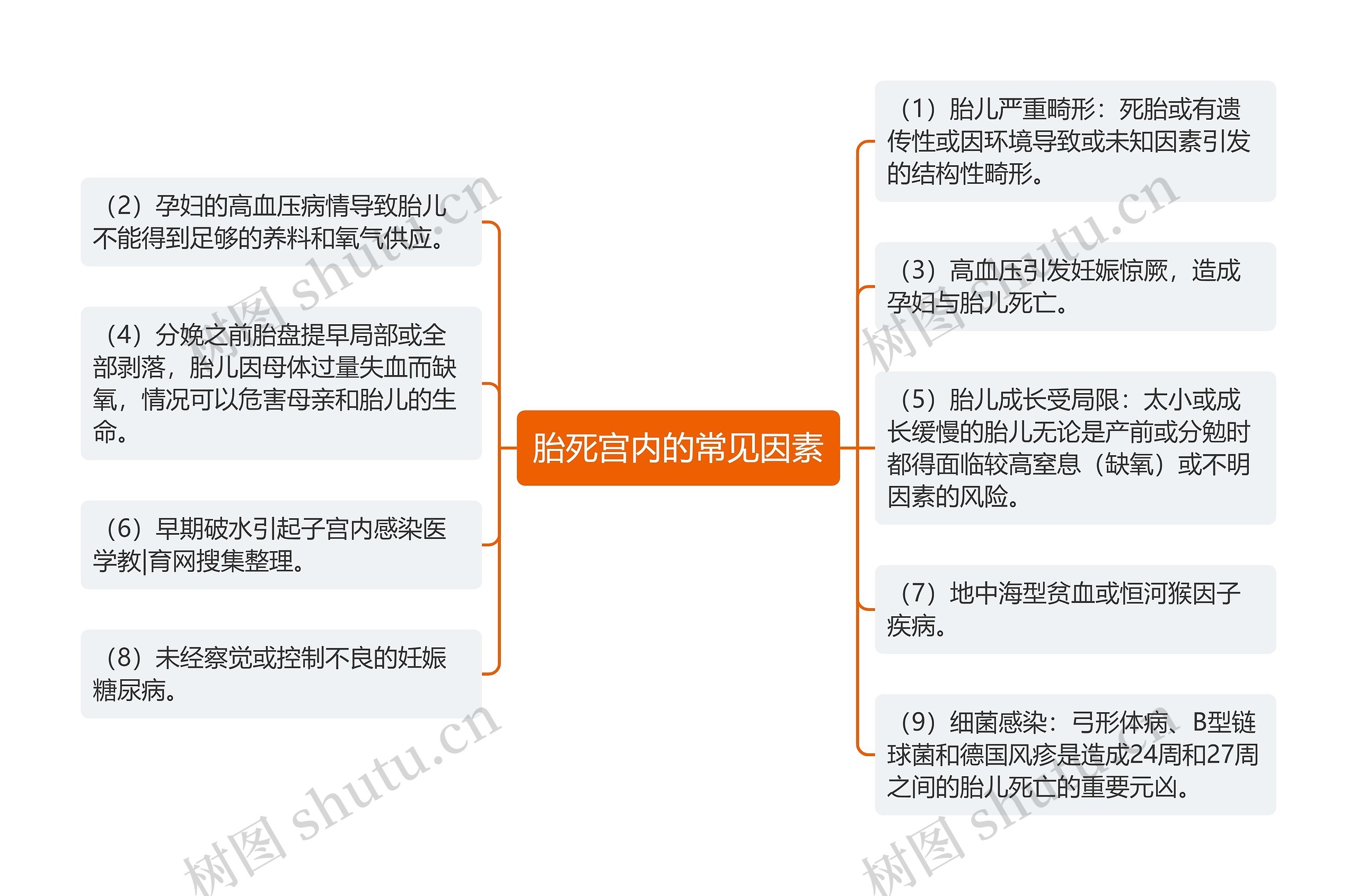 胎死宫内的常见因素思维导图