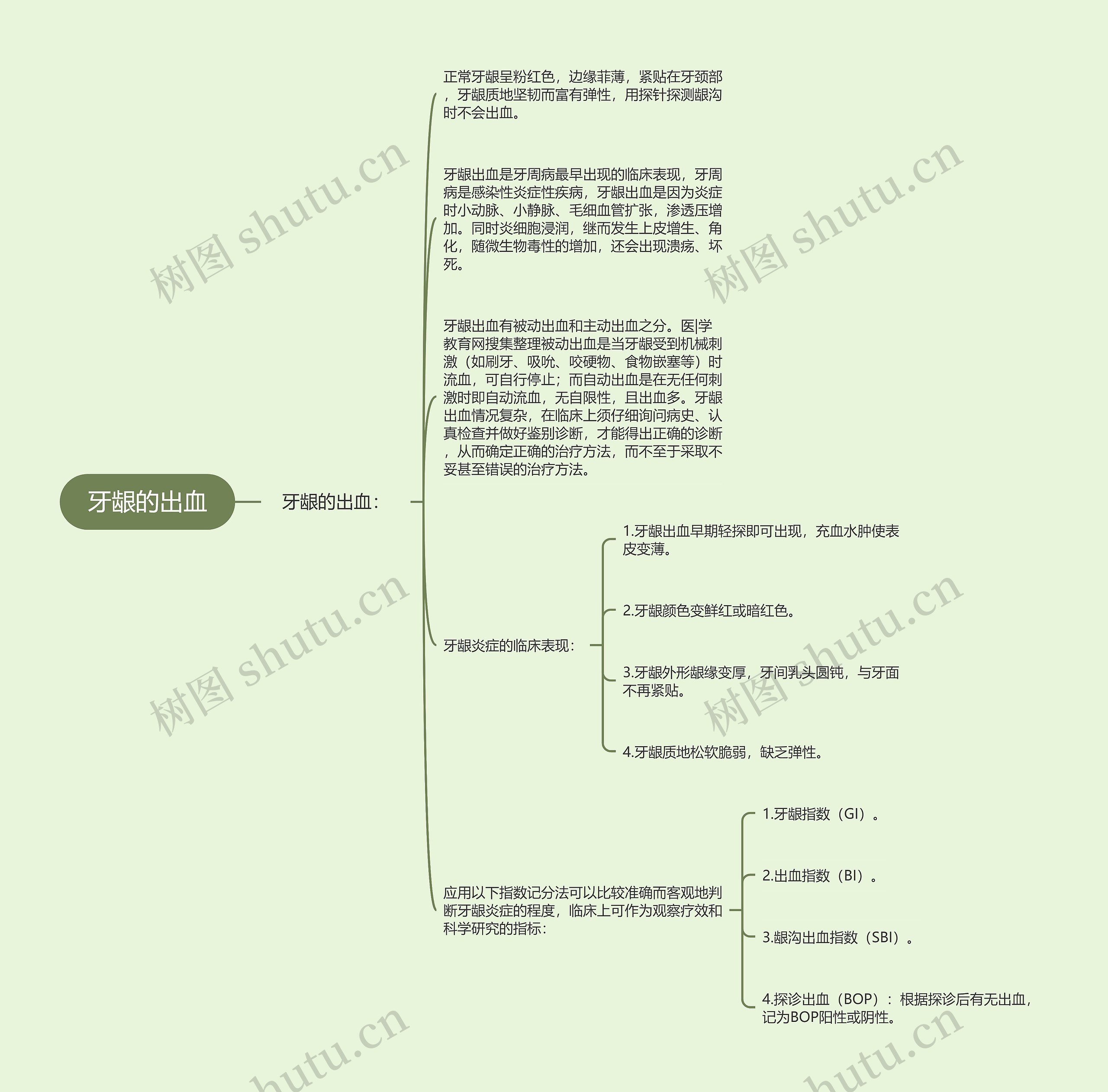 牙龈的出血思维导图