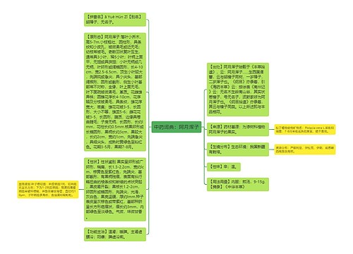 中药词典：阿月浑子