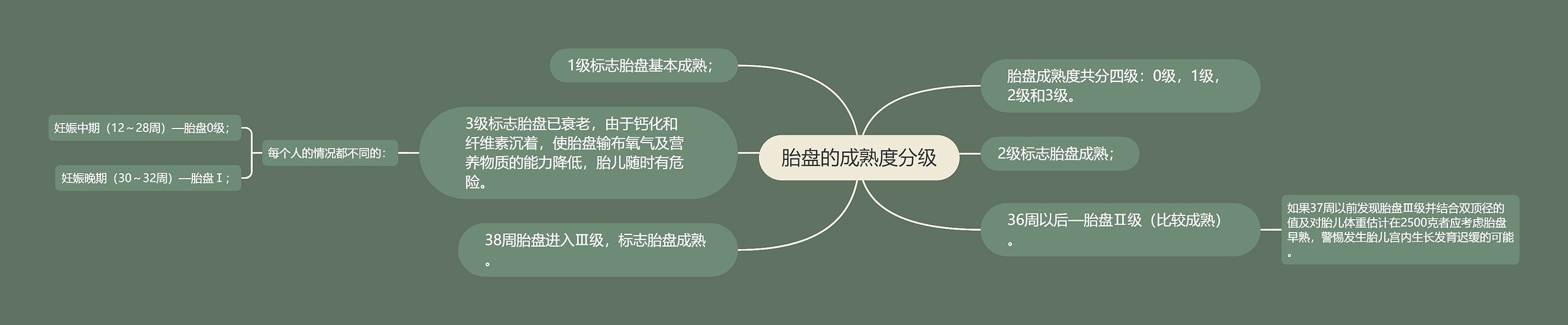 胎盘的成熟度分级 胎盘的成熟度分级