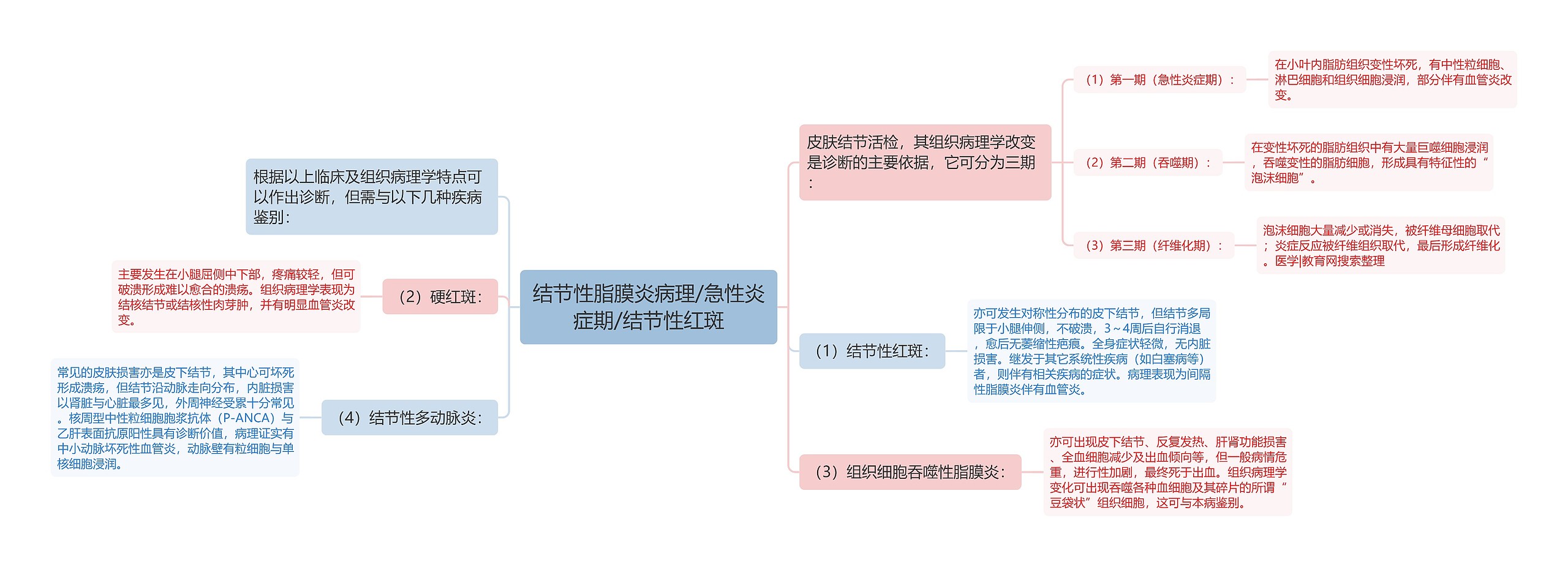 结节性脂膜炎病理/急性炎症期/结节性红斑