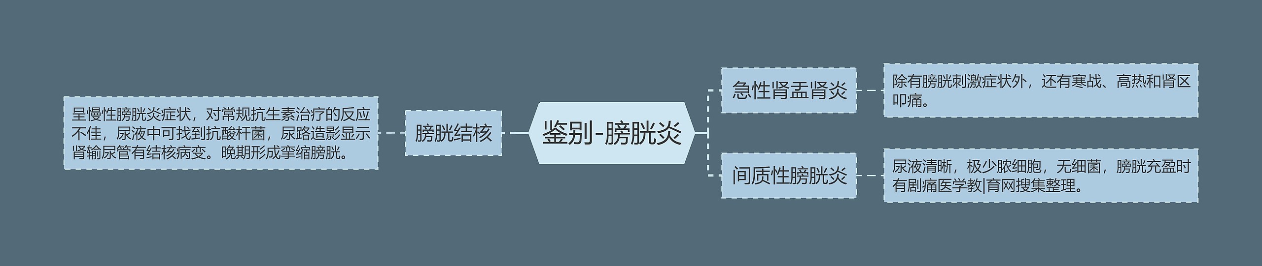 鉴别-膀胱炎思维导图