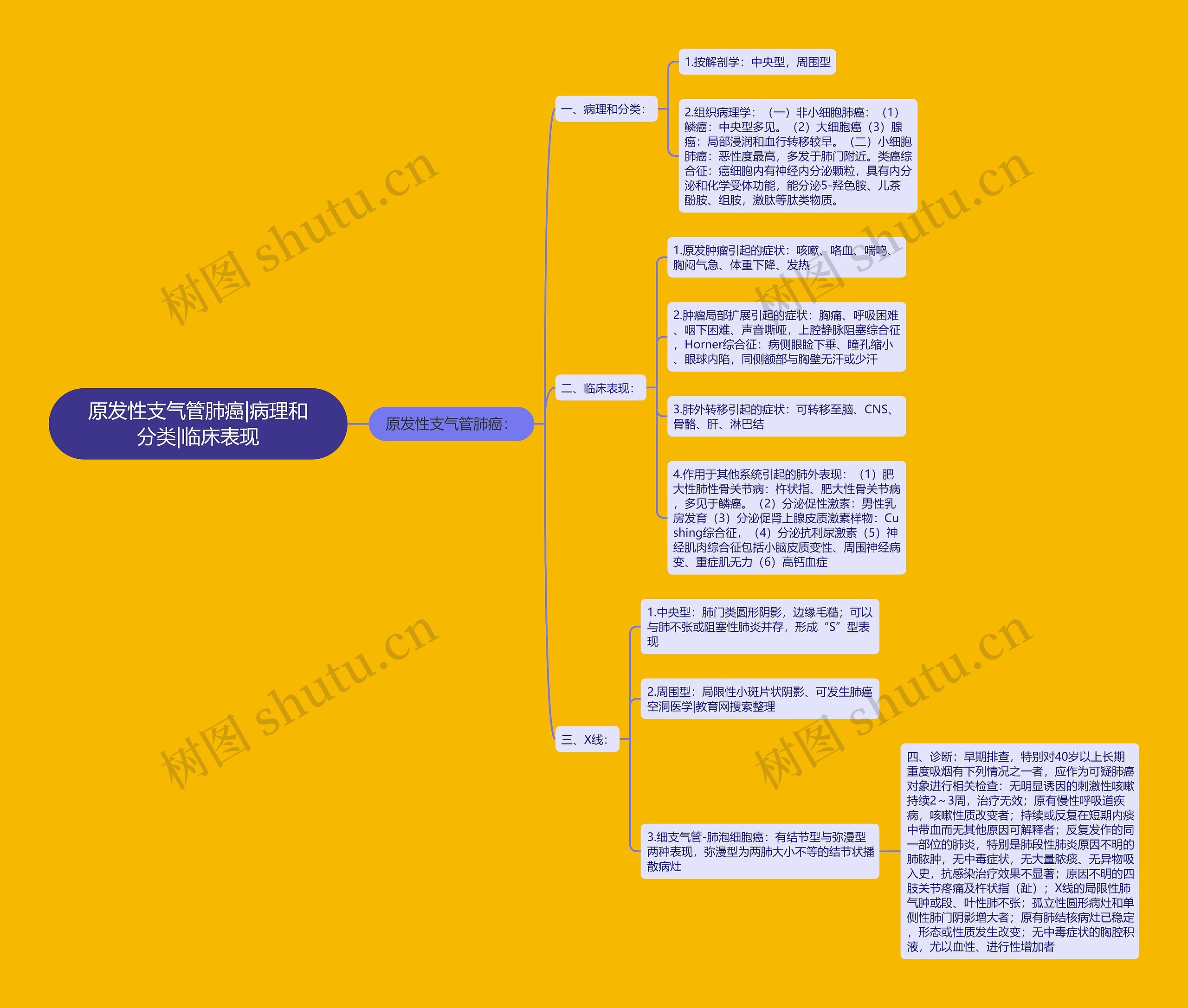 原发性支气管肺癌|病理和分类|临床表现 原发性支气管肺癌|病理和分类|临床表现