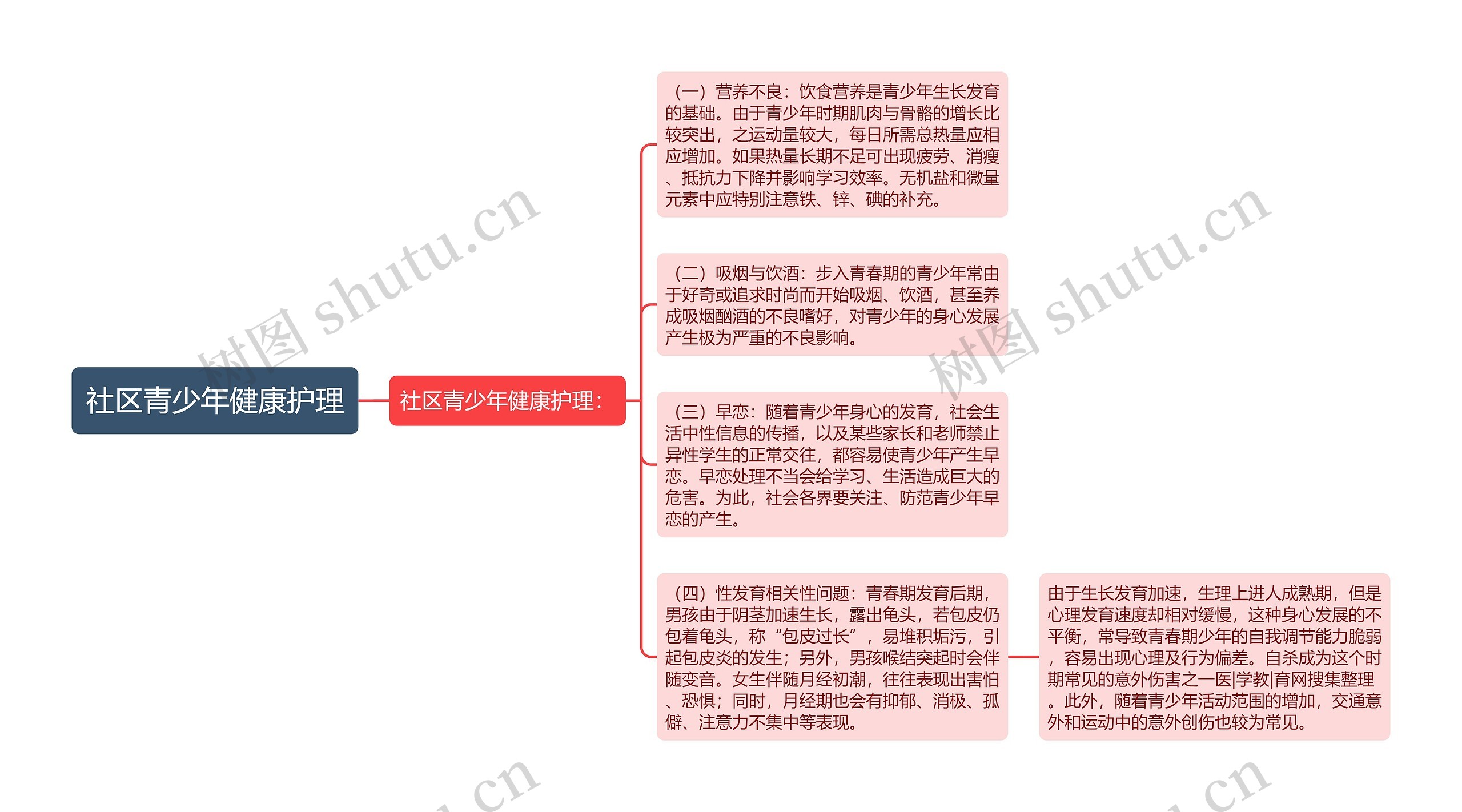 社区青少年健康护理