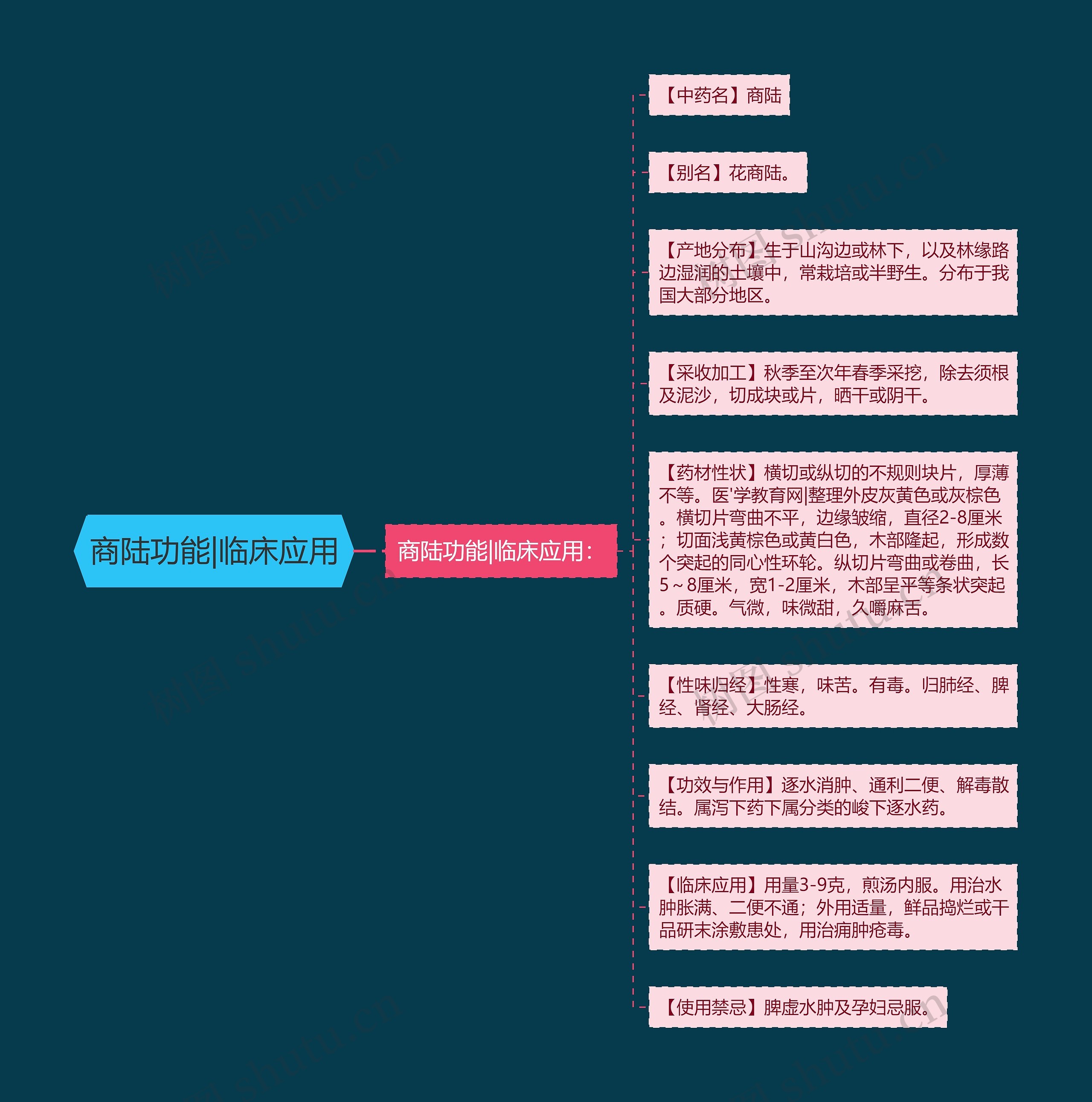 商陆功能|临床应用思维导图