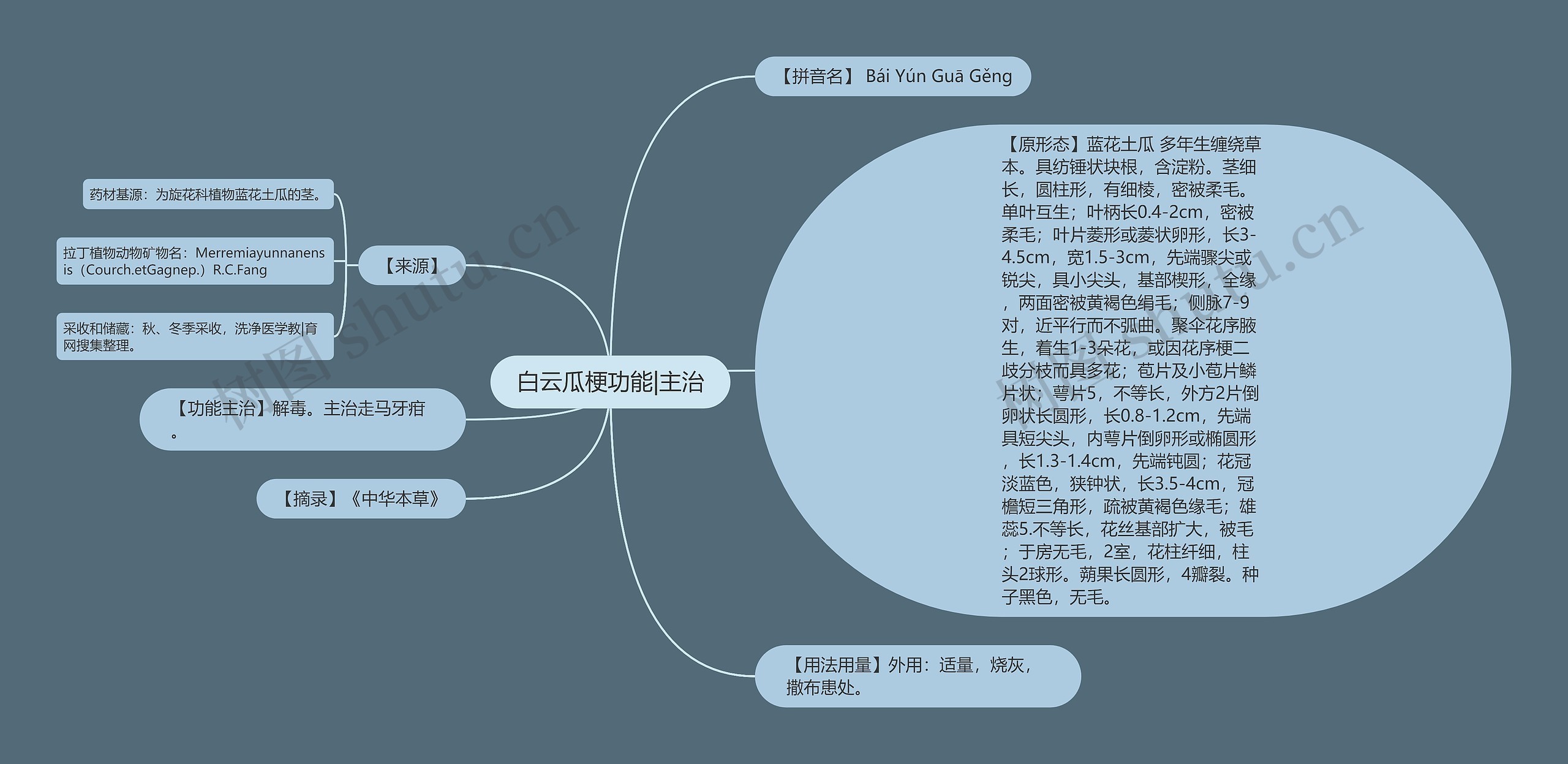 白云瓜梗功能|主治