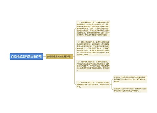 交感神经系统的主要作用